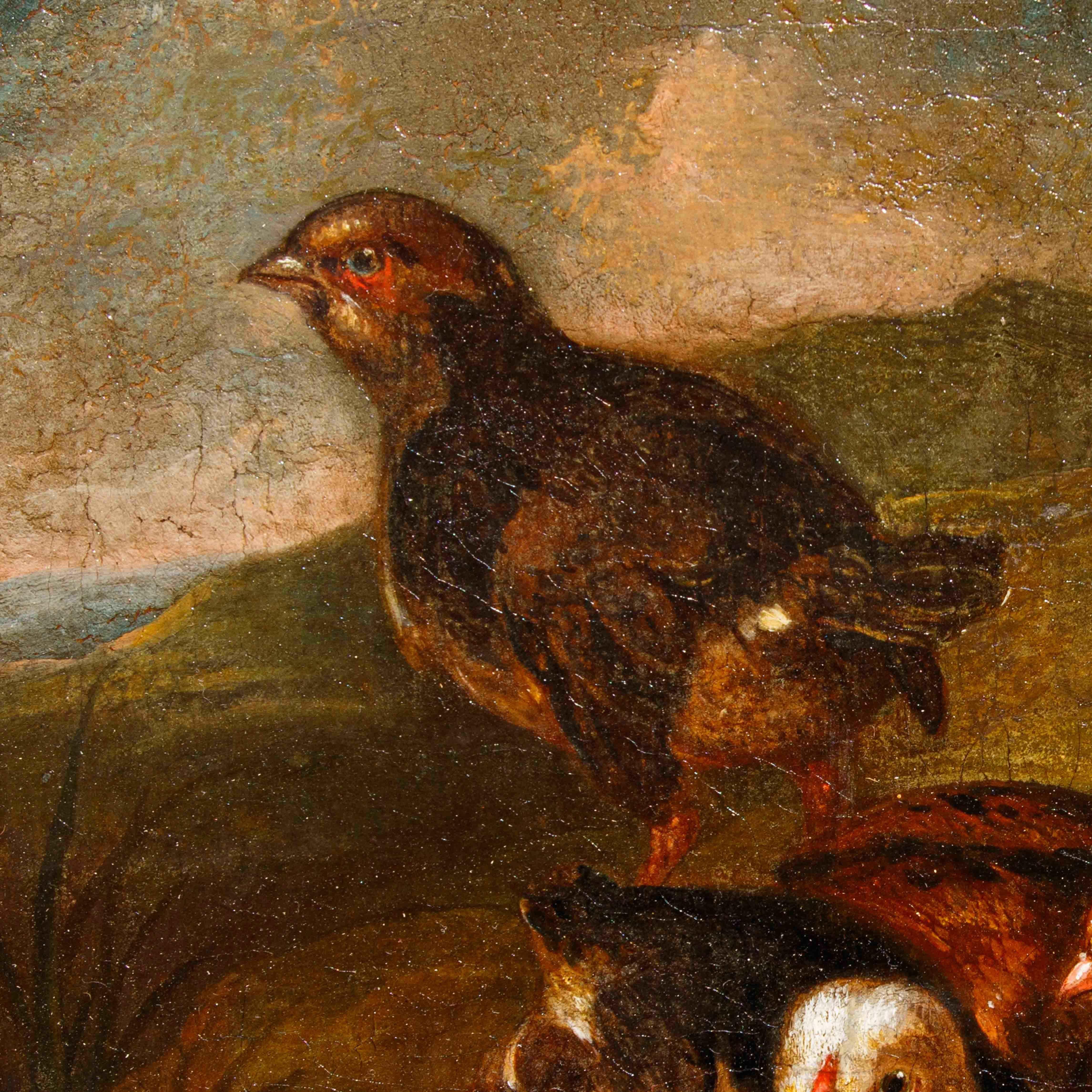 Emilianische Schule, 18. Jahrhundert, Paar Stilleben mit Vögeln (18th Century and Earlier) im Angebot