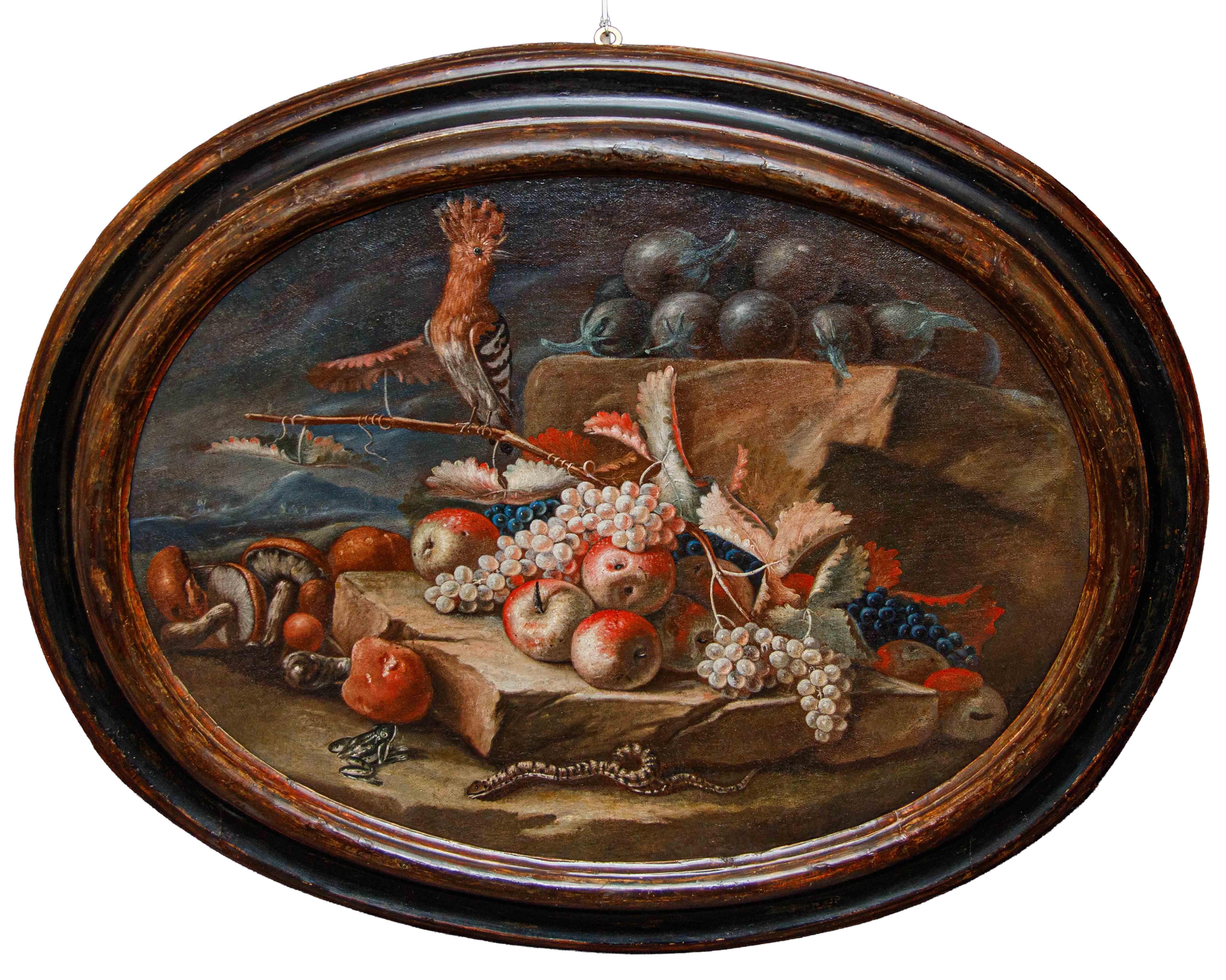 Emilianische Schule, 18. Jahrhundert

Stilleben mit Wiedehopf, Frosch und Schlange

Öl auf ovaler Leinwand, 73 x 100 cm

Gerahmt, 98 x 125 cm

Das fragliche Stillleben, das verschiedene charakteristische Merkmale der Produktion der emilianischen