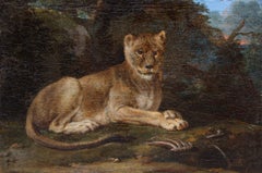 Escuela francesa, siglo XVIII, Joven león