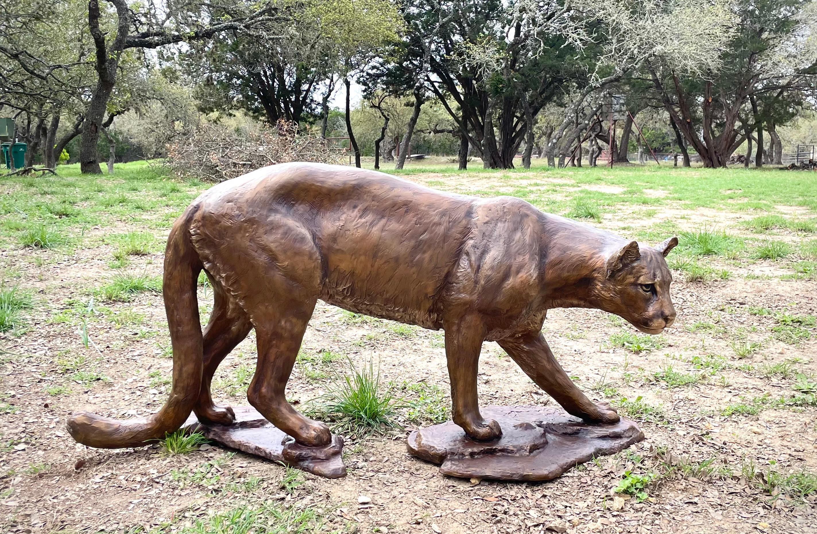 Scy 
Colorado / Texas Artist
Image Size: 57 inches long 30 inches tall
Medium: Bronze
3/30
including the artist's copy which I recently sold this is the fourth one cast.  They are stunning.  One that has been sold is one an island off the east