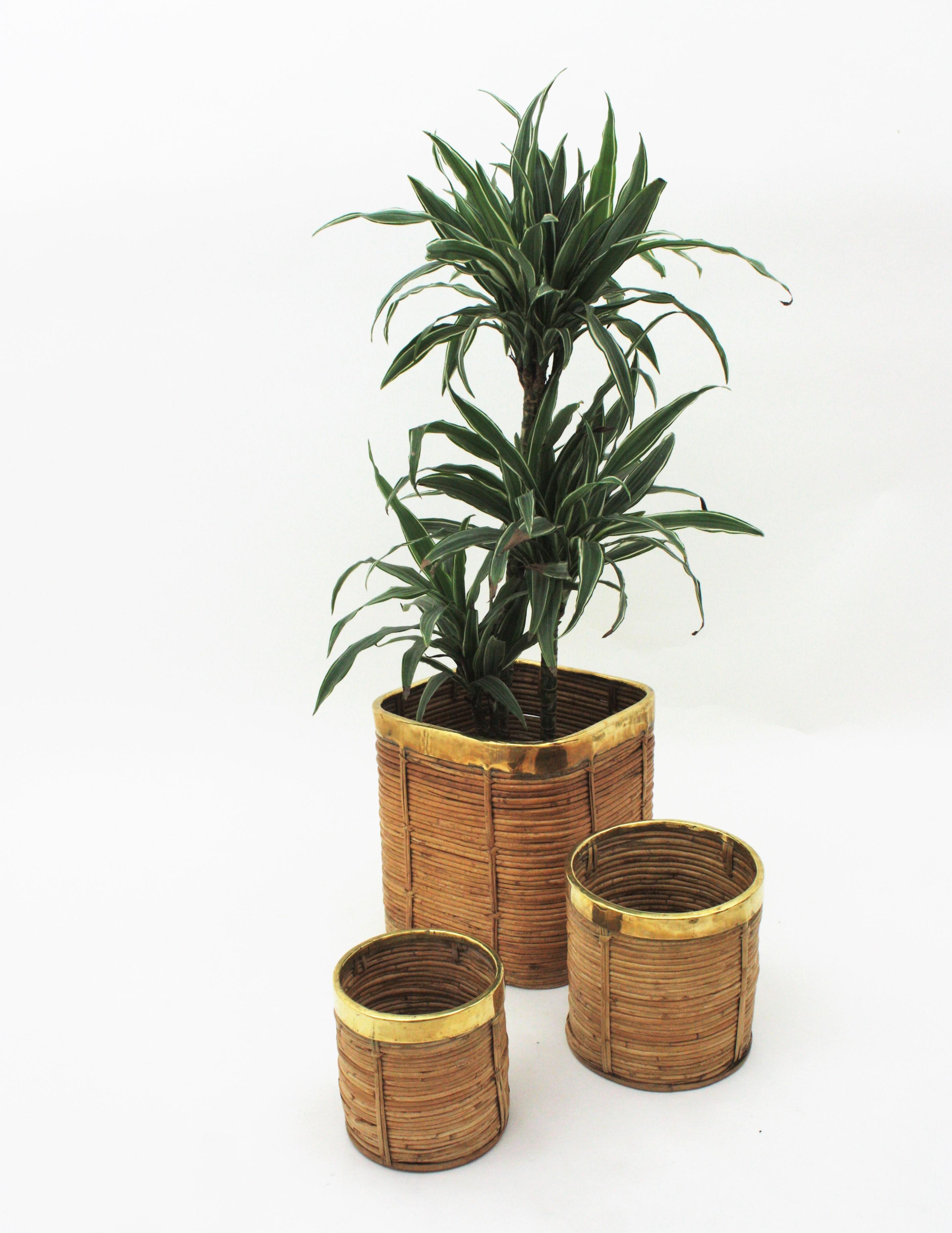 Three Rattan Bamboo Planters / Baskets with Brass Rim, Italy, 1970s For Sale 3