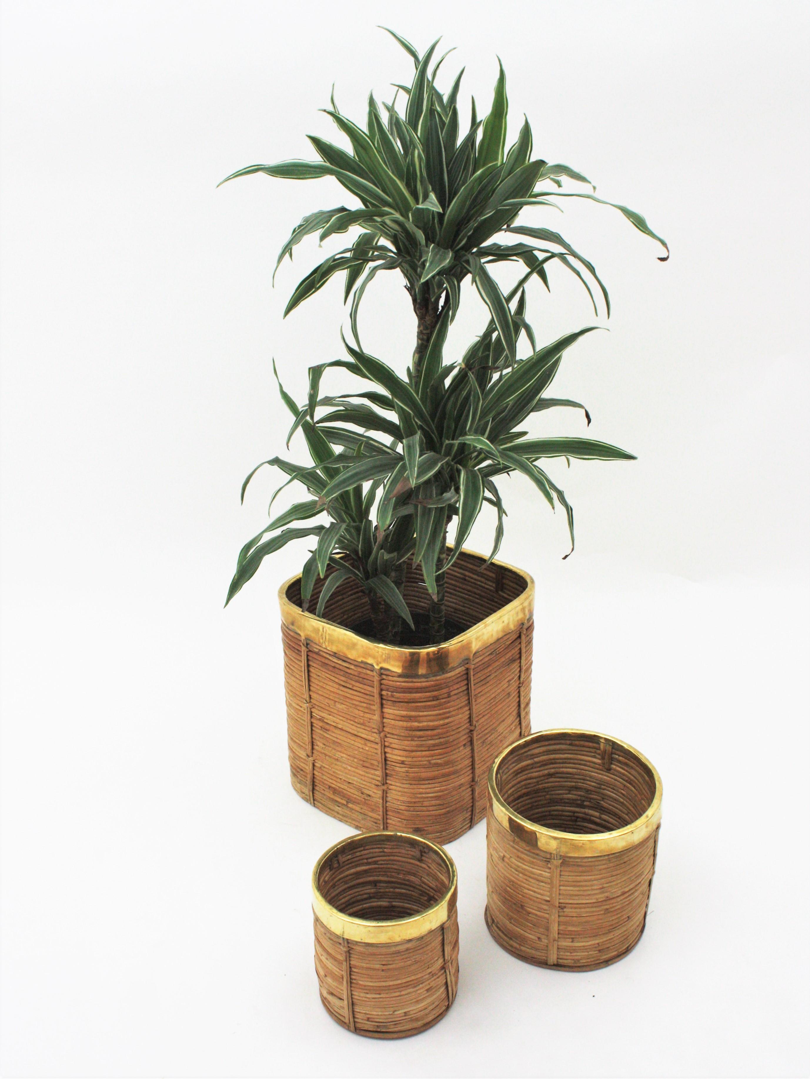 Three Rattan Bamboo Planters / Baskets with Brass Rim, Italy, 1970s For Sale 4