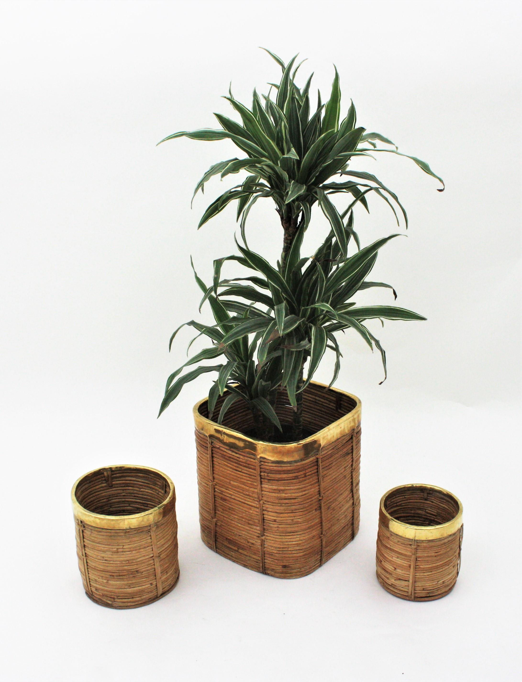 Three Rattan Bamboo Planters / Baskets with Brass Rim, Italy, 1970s For Sale 5