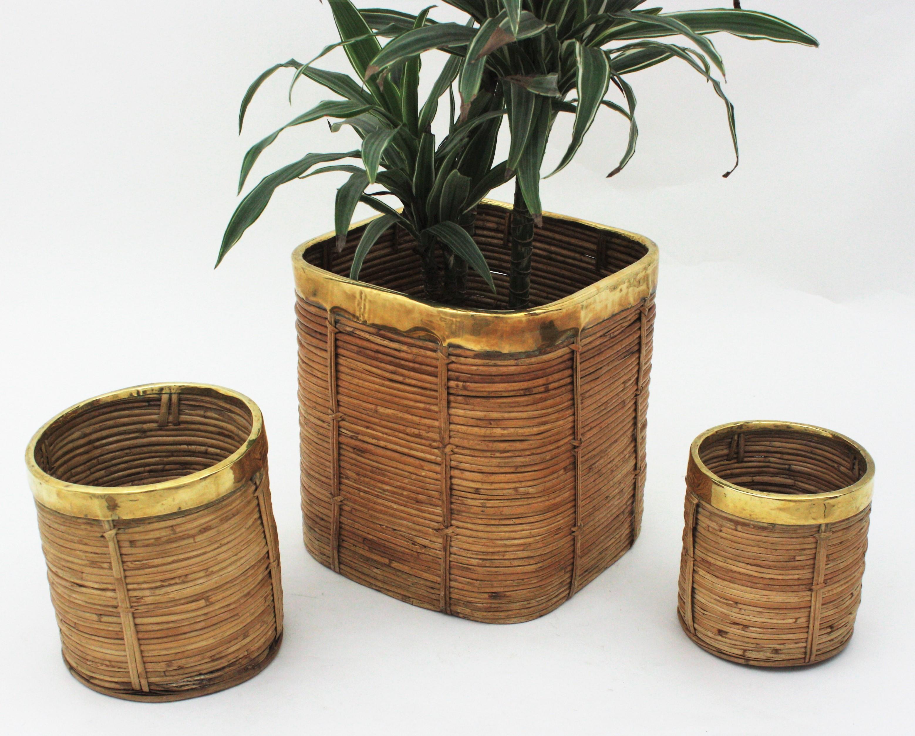 Three Rattan Bamboo Planters / Baskets with Brass Rim, Italy, 1970s For Sale 6