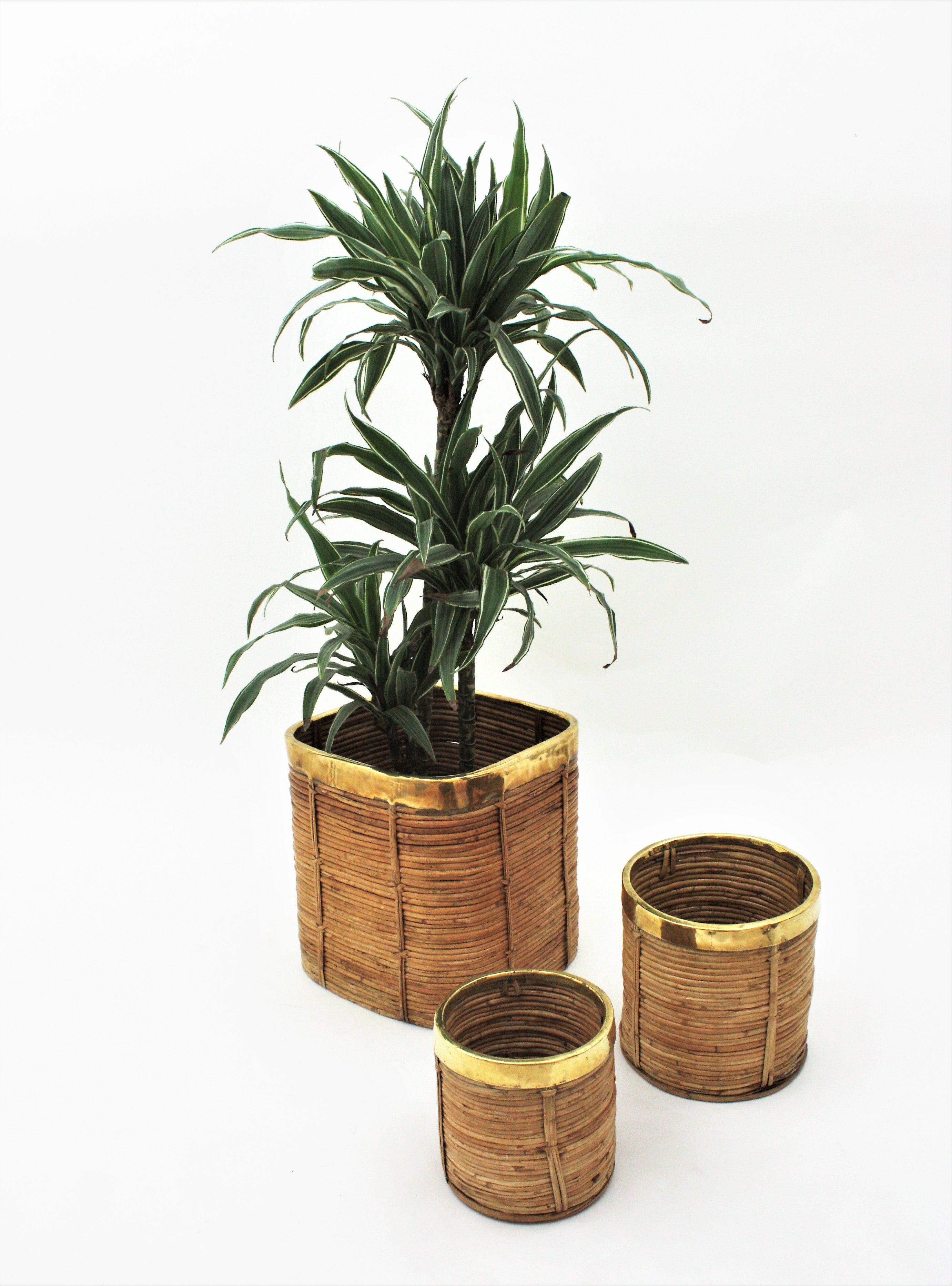 Hand-Crafted Three Rattan Bamboo Planters / Baskets with Brass Rim, Italy, 1970s For Sale