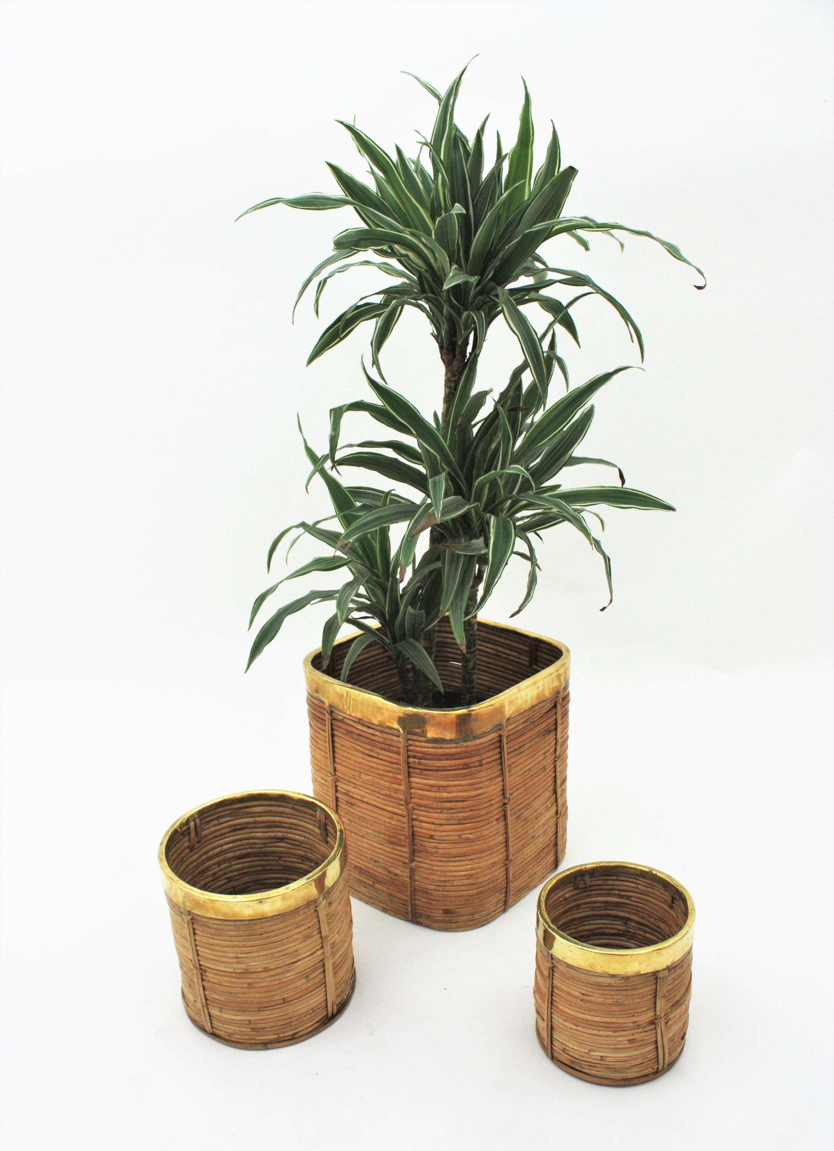 Three Rattan Bamboo Planters / Baskets with Brass Rim, Italy, 1970s For Sale 2