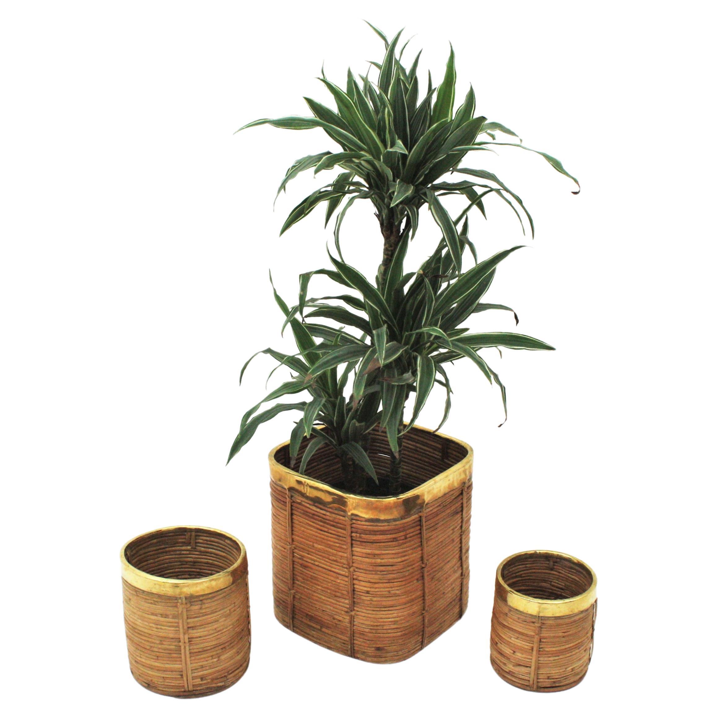 Set of Three Mid-Century Modern rattan planters / baskets with brass rims. Italy, 1970s
Three rattan baskets in different sizes. The larger one in squared shape and the smallers round design.
Use them as decorative baskets or for storage purposes to