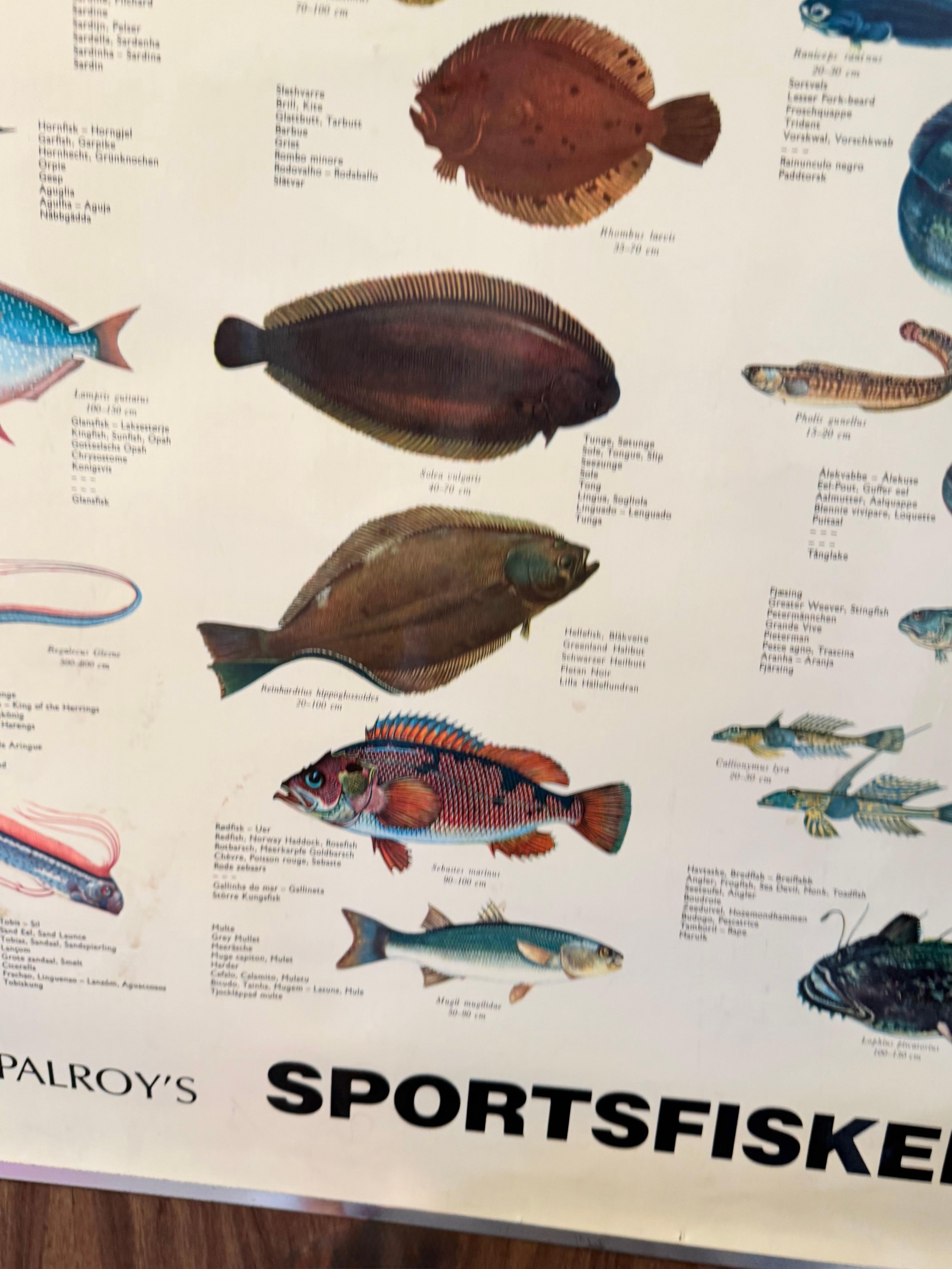 Sel de poisson de mervandsfisk  Tableau mural à impression d'affiches enroulables, Danemark, années 1960 en vente 8