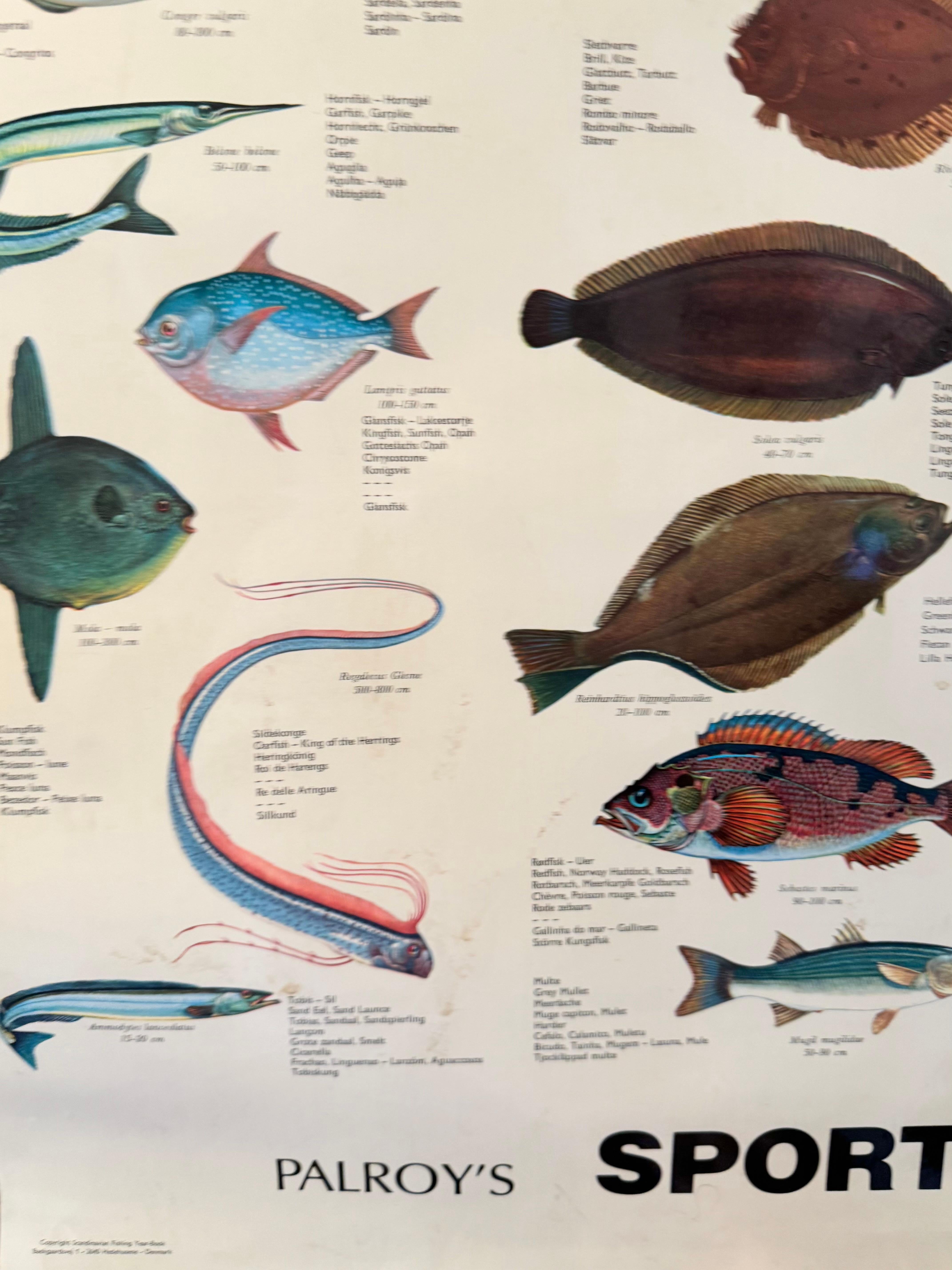 Sel de poisson de mervandsfisk  Tableau mural à impression d'affiches enroulables, Danemark, années 1960 en vente 9