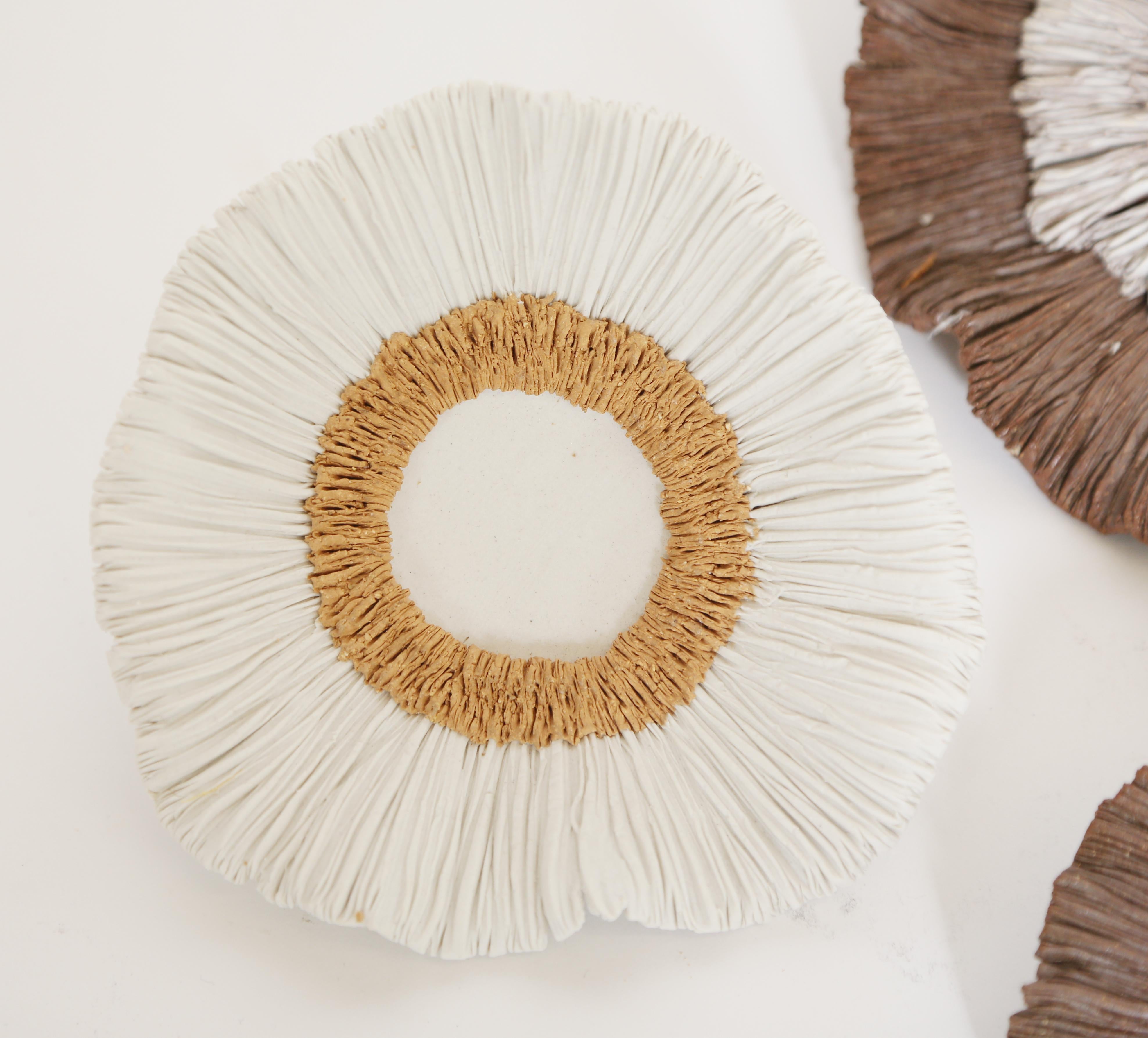 Created by a delicate hand, a sampling of our pure white or mixed warm toned porcelain and ceramic sea forms for your table. Each piece and intricate part is created by hand one at a time. They are the artist's image of dream like sea forms. They