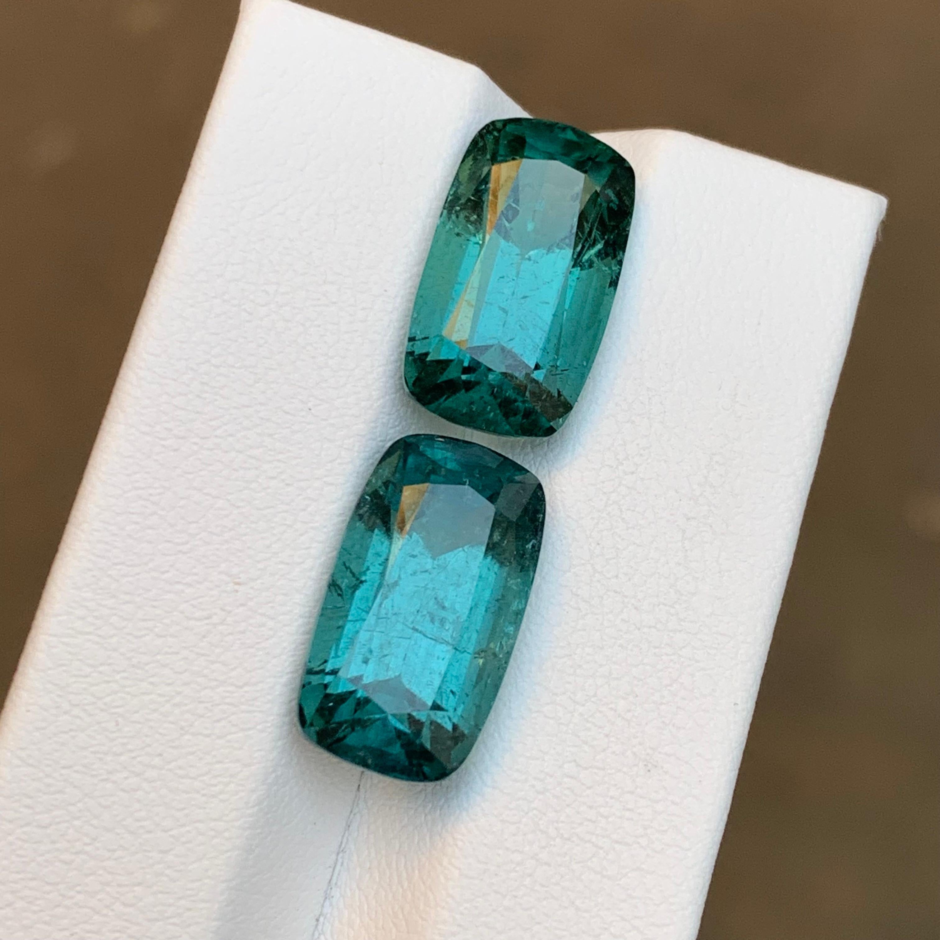 da uomo o donna Orecchini di tormalina naturale verde mare Coppia di gemme sciolte da 19,55 carati con taglio a cuscino in vendita