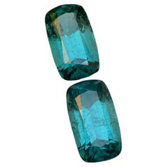 Paire de boucles d'oreilles en tourmaline naturelle verte de mer taille coussin 19,55 carats