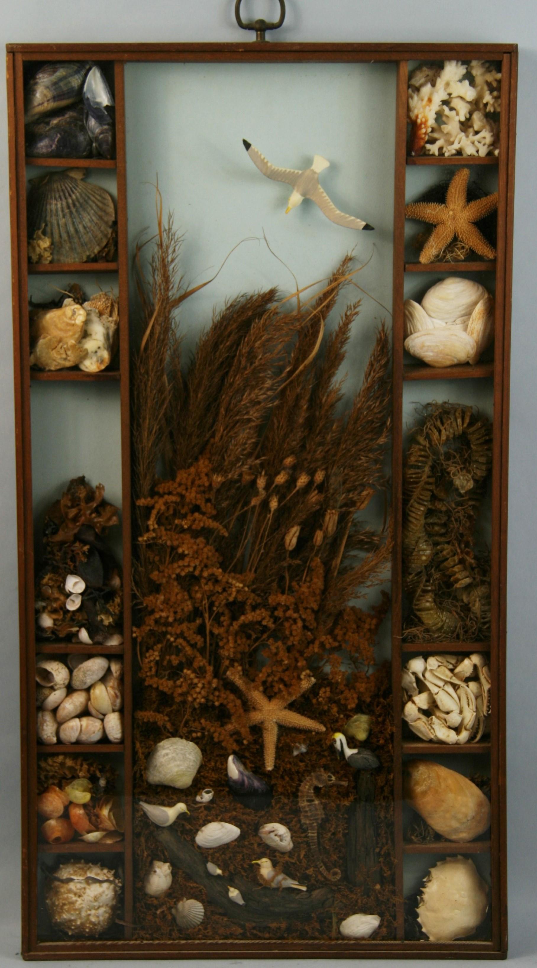 3-715 Wunderschönes Meeresdiorama mit Muscheln, verschiedenen Krustentieren, Seepferdchen und Seesternen in einem Nussbaumrahmen unter Glas.
Aufhängering aus Messing