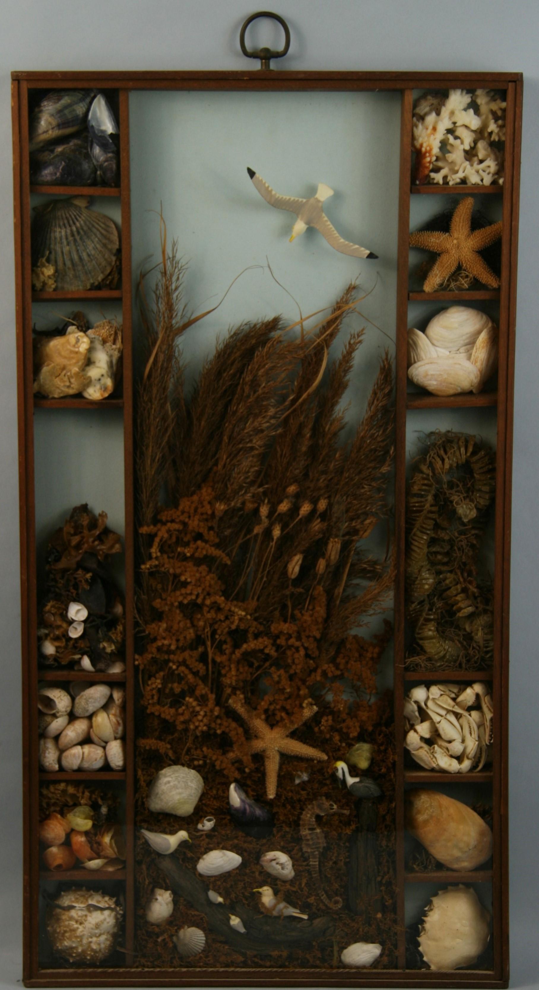 Sea Life and Shell Diorama /Schalenschachtel im Zustand „Gut“ im Angebot in Douglas Manor, NY