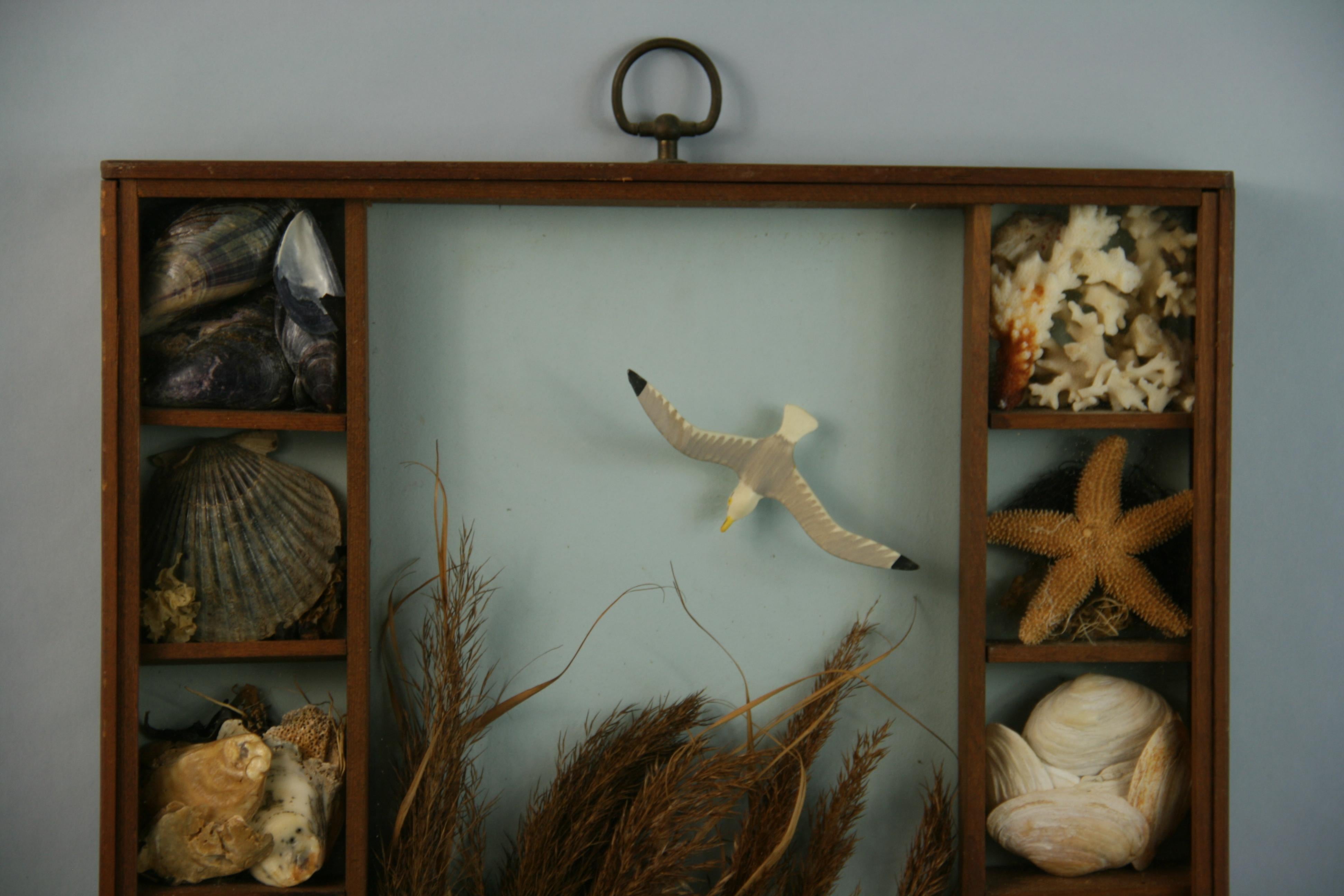Milieu du XXe siècle Boîte Diorama/Boîte d'ombre « Sea Life and Shell » en vente