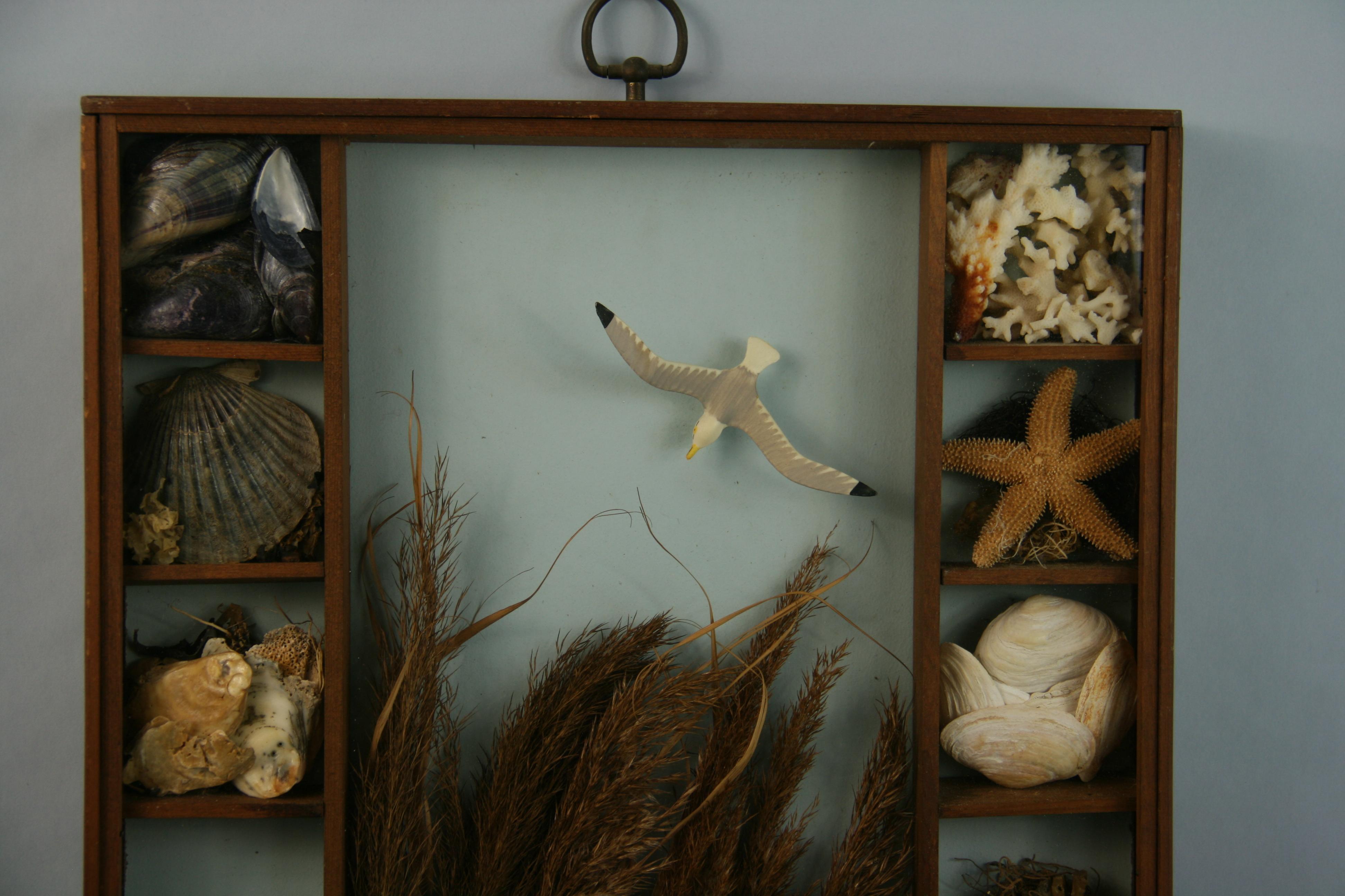 Sea Life and Shell Diorama /Schalenschachtel im Angebot 4