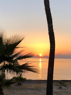 Sea of Cortez Mabe Pearl 18 Karat Gold Ring