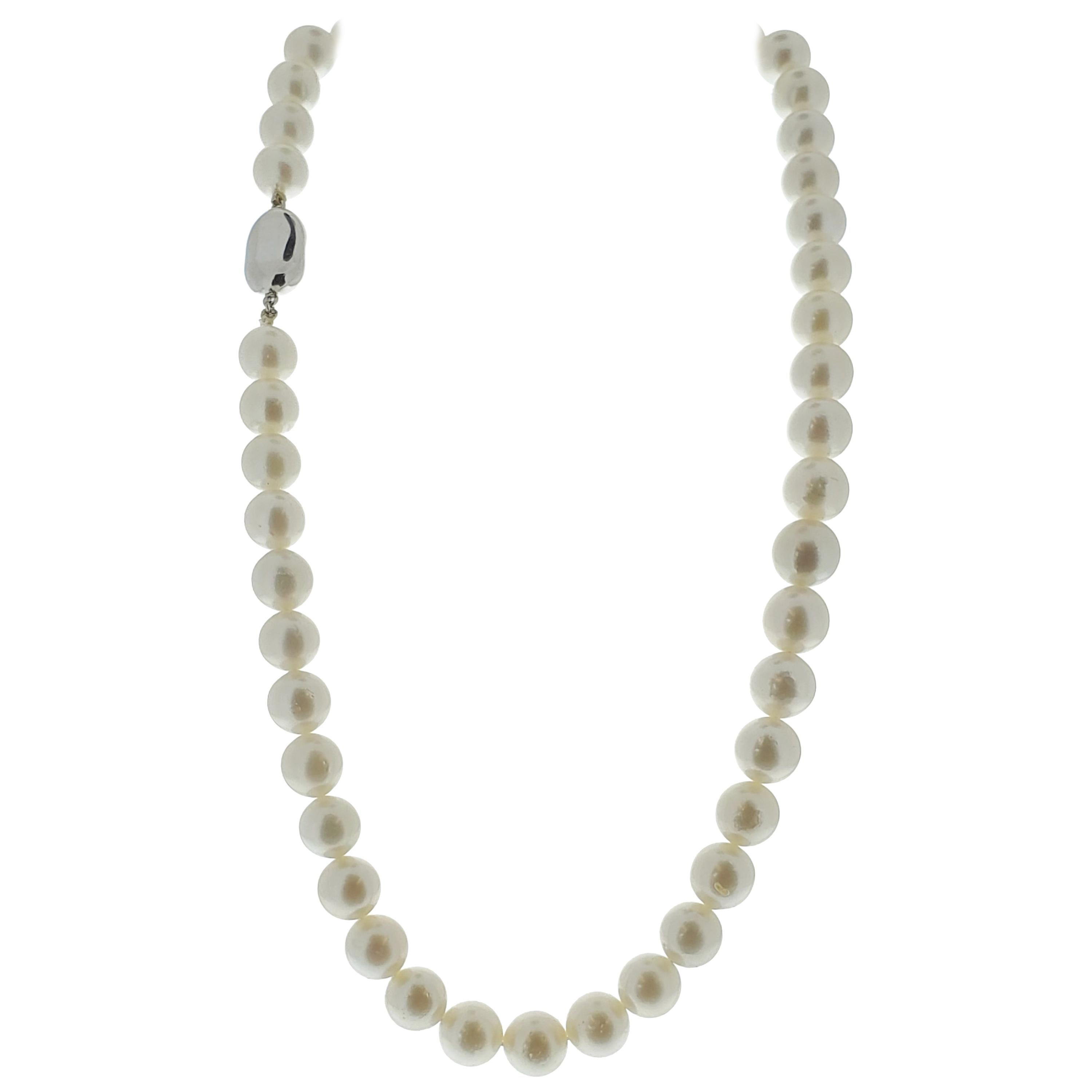 Sea Pearl and Diamond Necklace with Silver Clasp For Sale
