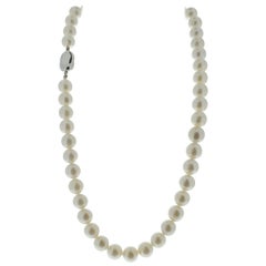 Sea Pearl and Diamond Necklace with Silver Clasp