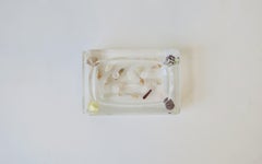 Seashell and Lucite Soap Dish