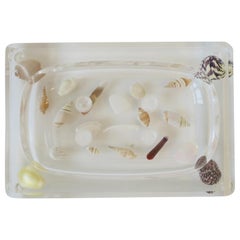 Seashell and Lucite Acrylic Soap Dish