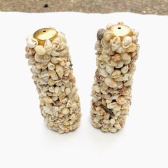 Traditional Table Sea Shell Brass Salt and Pepper Shakers a Pair 1950s