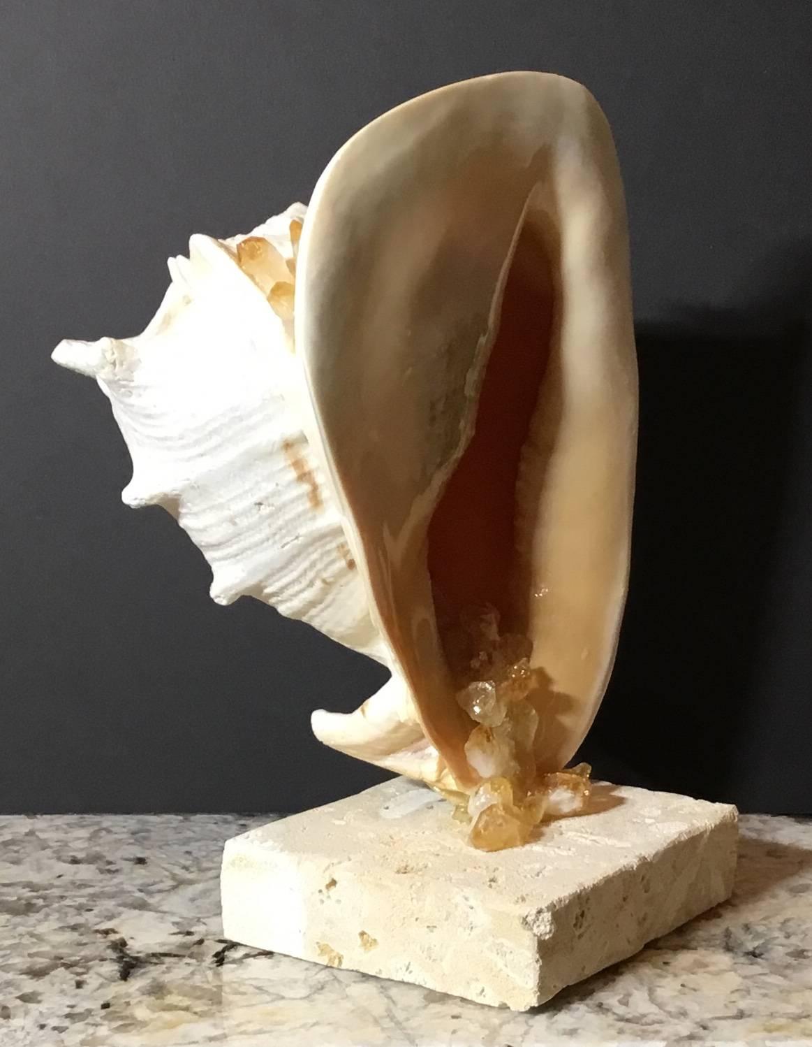 Sea Shell And Quartz Crystal Citrine In Excellent Condition In Delray Beach, FL