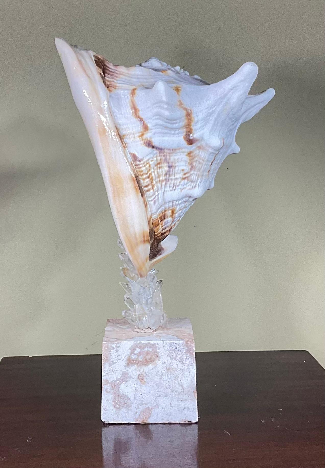 Escultura de concha marina y cristal de cuarzo de Joseph Malekan en venta 6