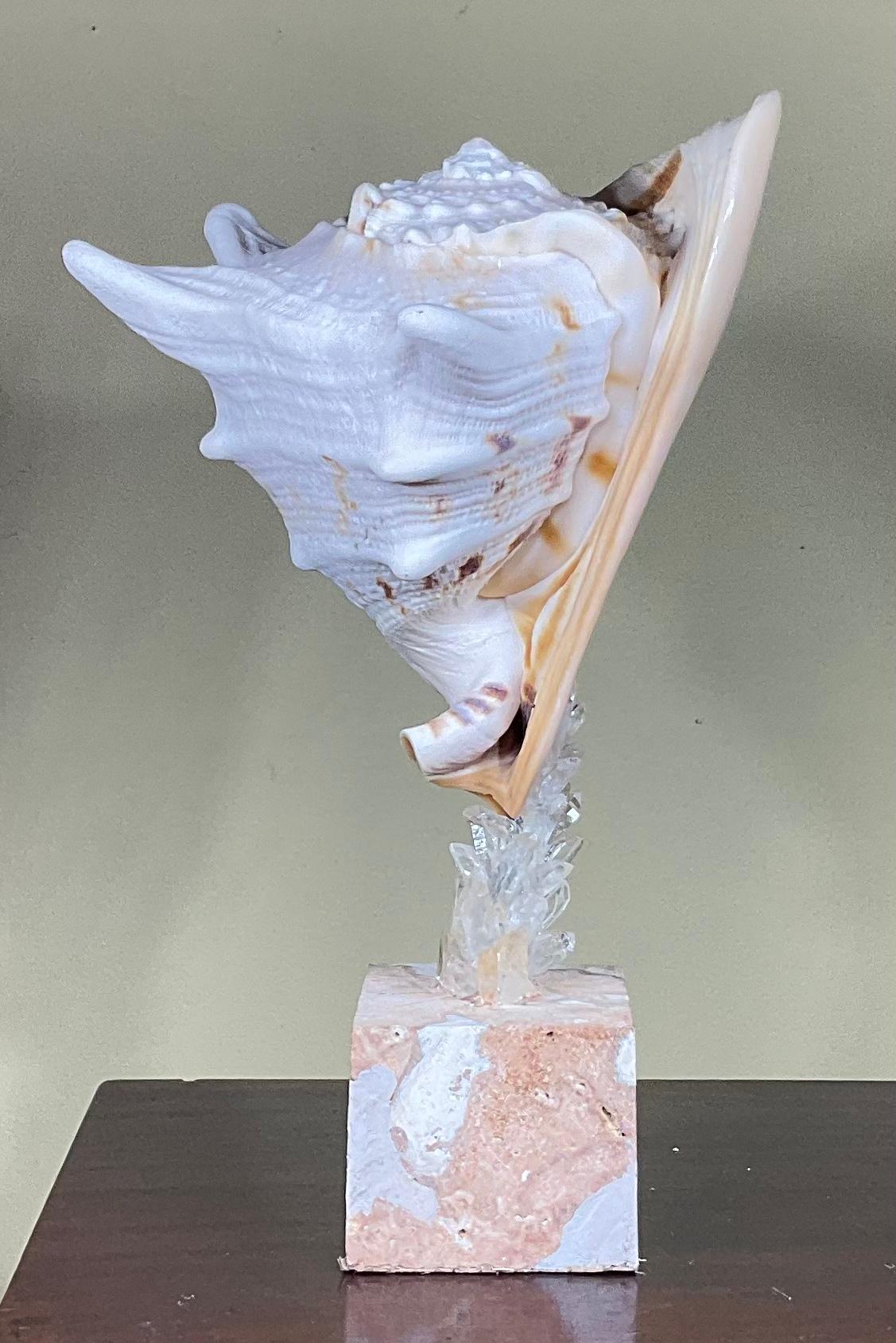 Sea Shell and Quartz Crystal Sculpture by Joseph Malekan For Sale 7