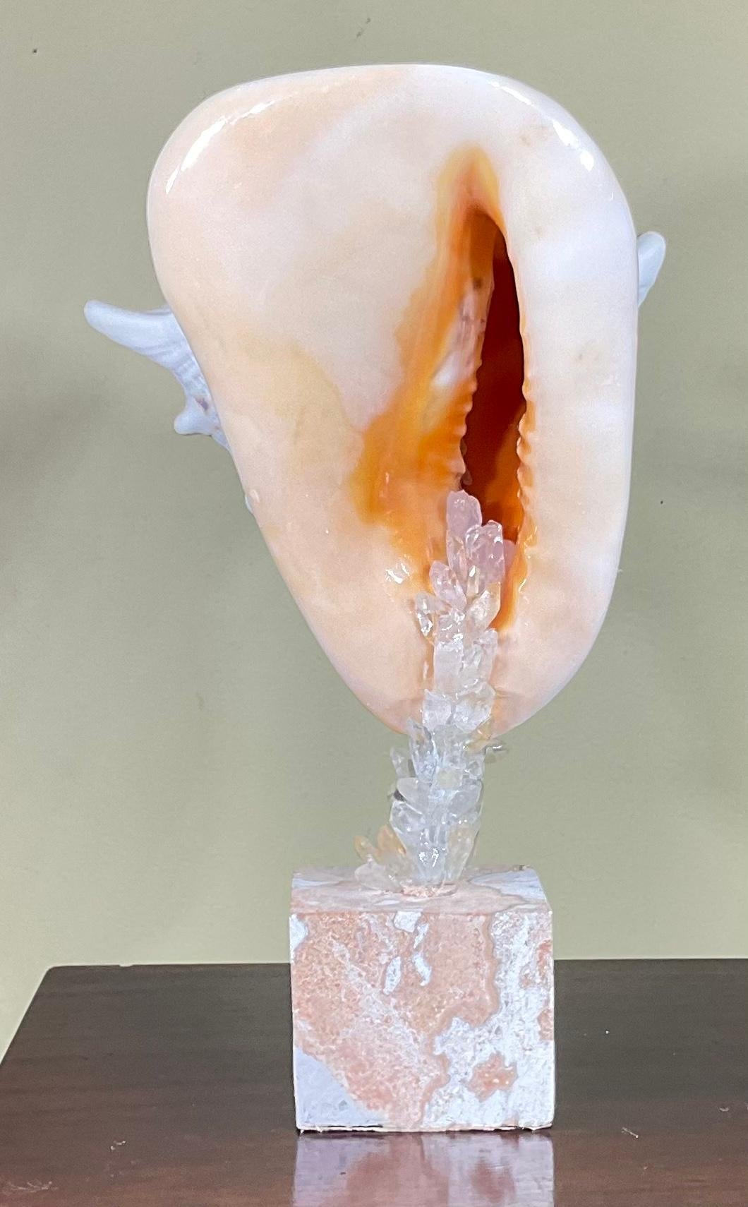 Sea Shell and Quartz Crystal Sculpture by Joseph Malekan For Sale 8