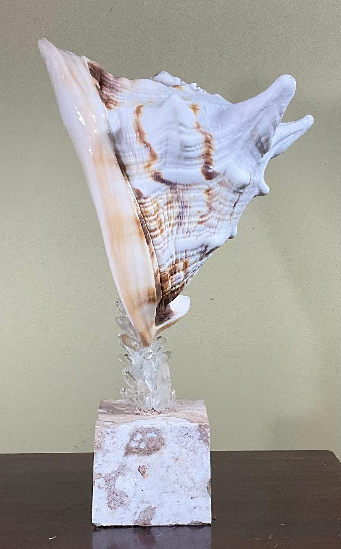 Fantastic Atlantic sea shell professionally mounted on a natural coral base, artistically hand embedded with small rocks crystal pieces that make beautiful one of a kind object of art for display.