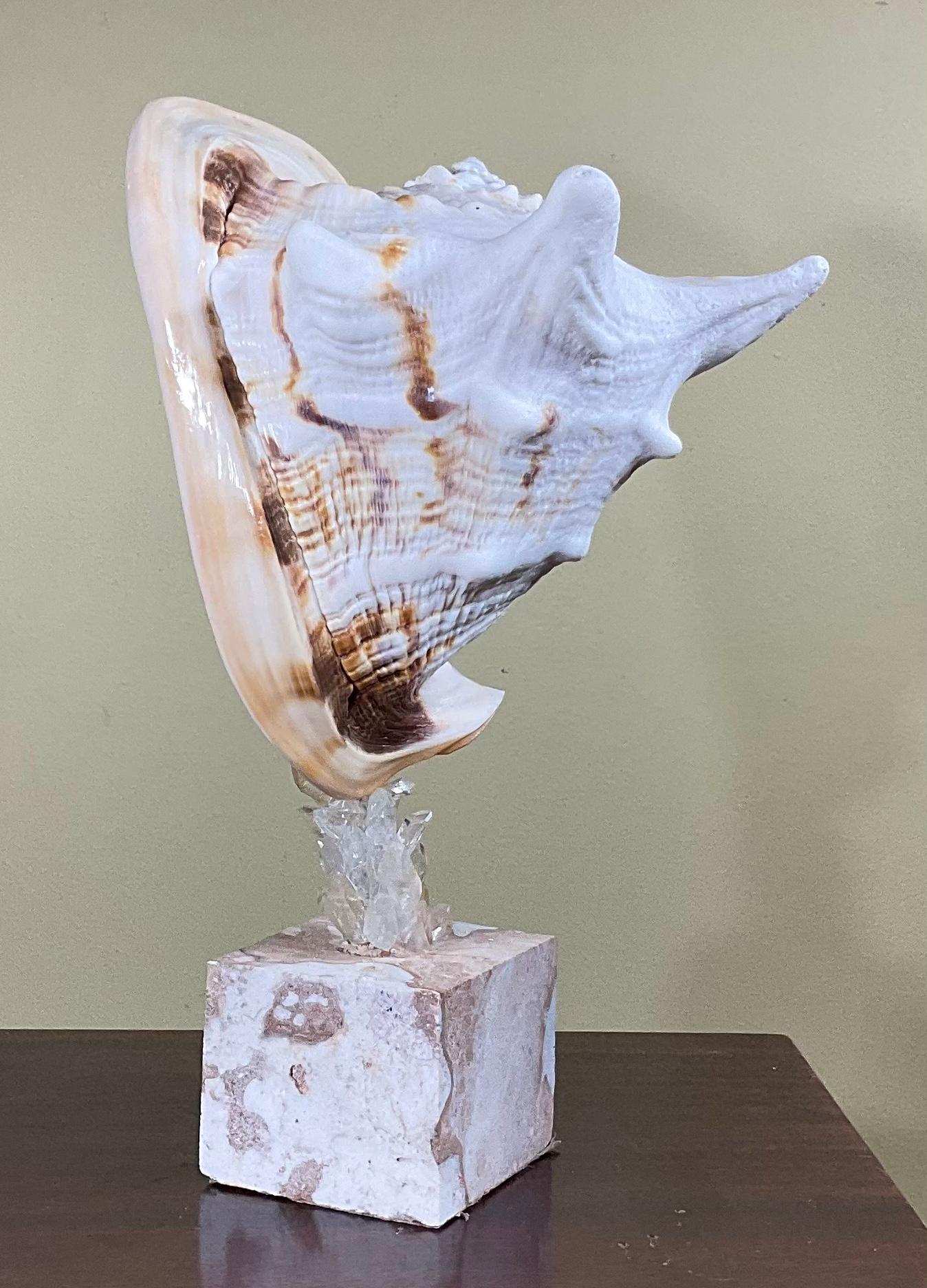 American Sea Shell and Quartz Crystal Sculpture by Joseph Malekan For Sale