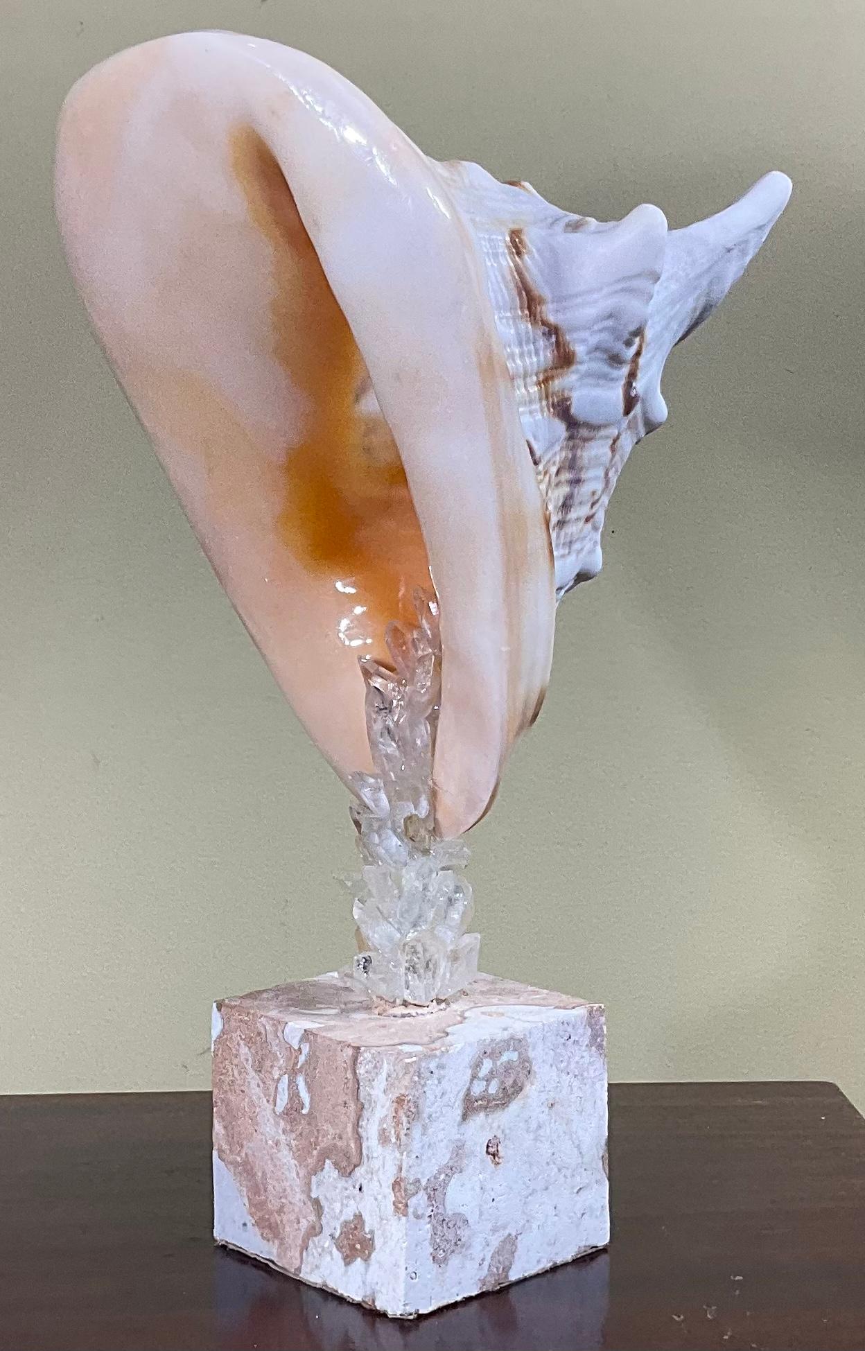 Hand-Crafted Sea Shell and Quartz Crystal Sculpture by Joseph Malekan For Sale