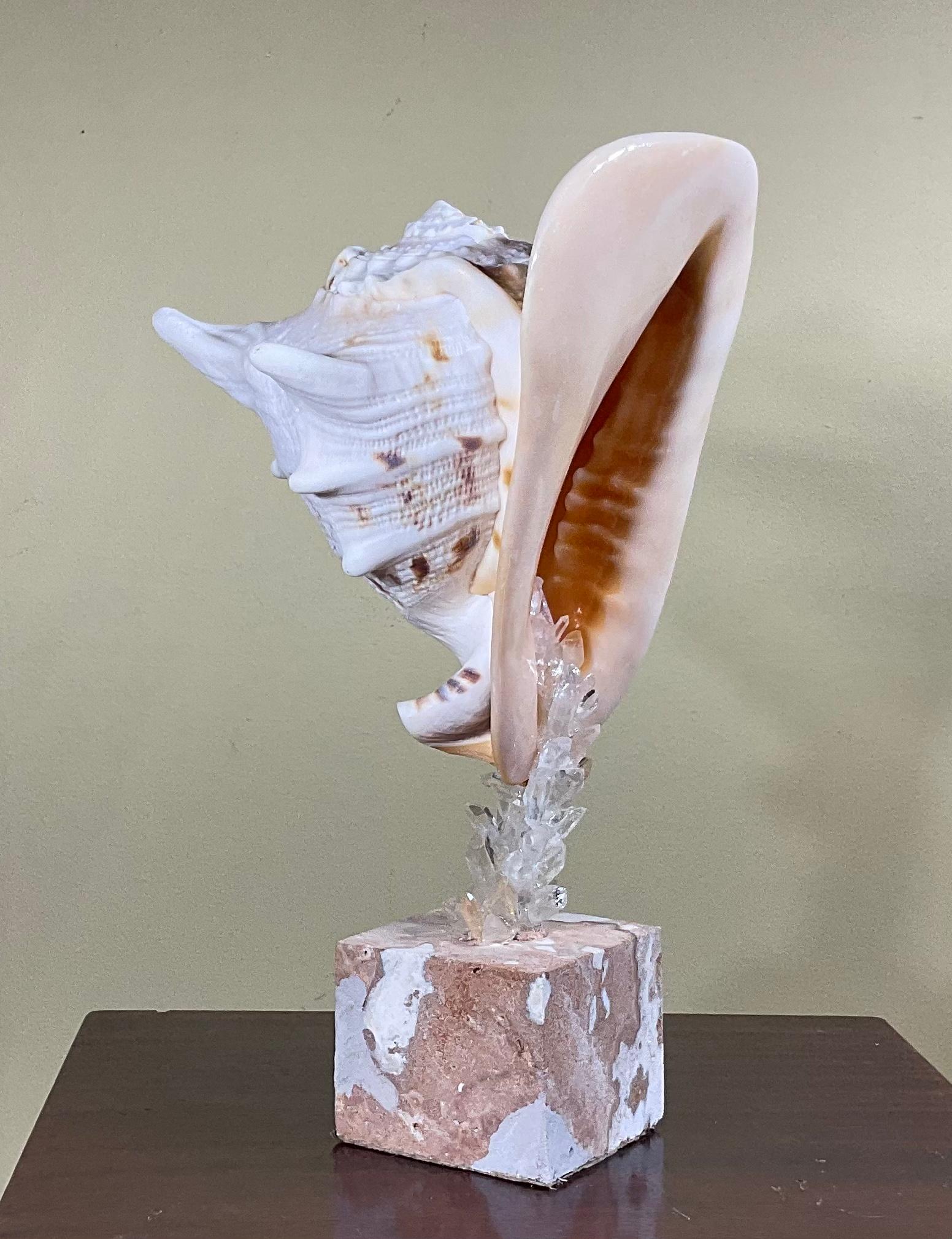 Sea Shell and Quartz Crystal Sculpture by Joseph Malekan In Good Condition For Sale In Delray Beach, FL