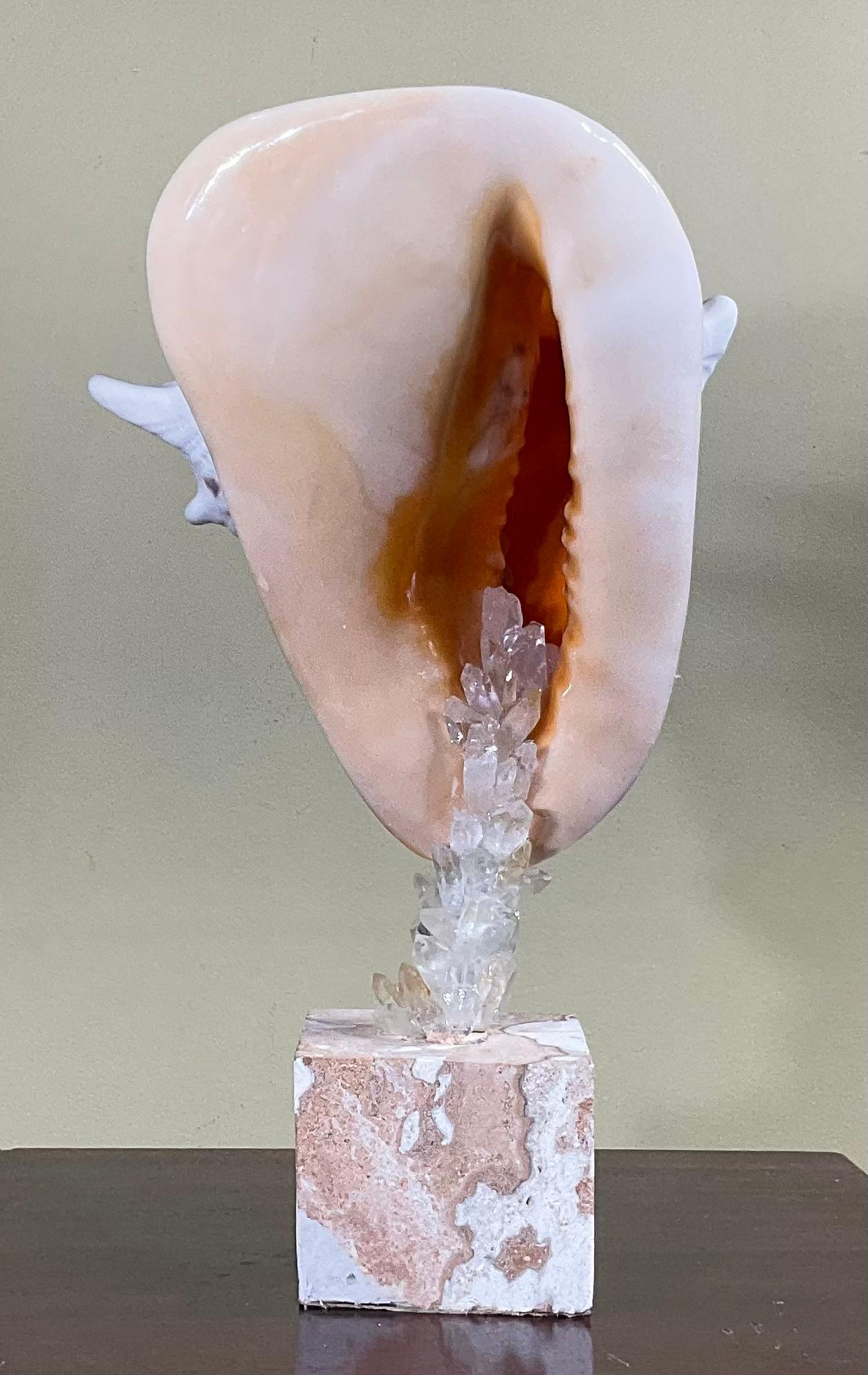 Contemporary Sea Shell and Quartz Crystal Sculpture by Joseph Malekan For Sale