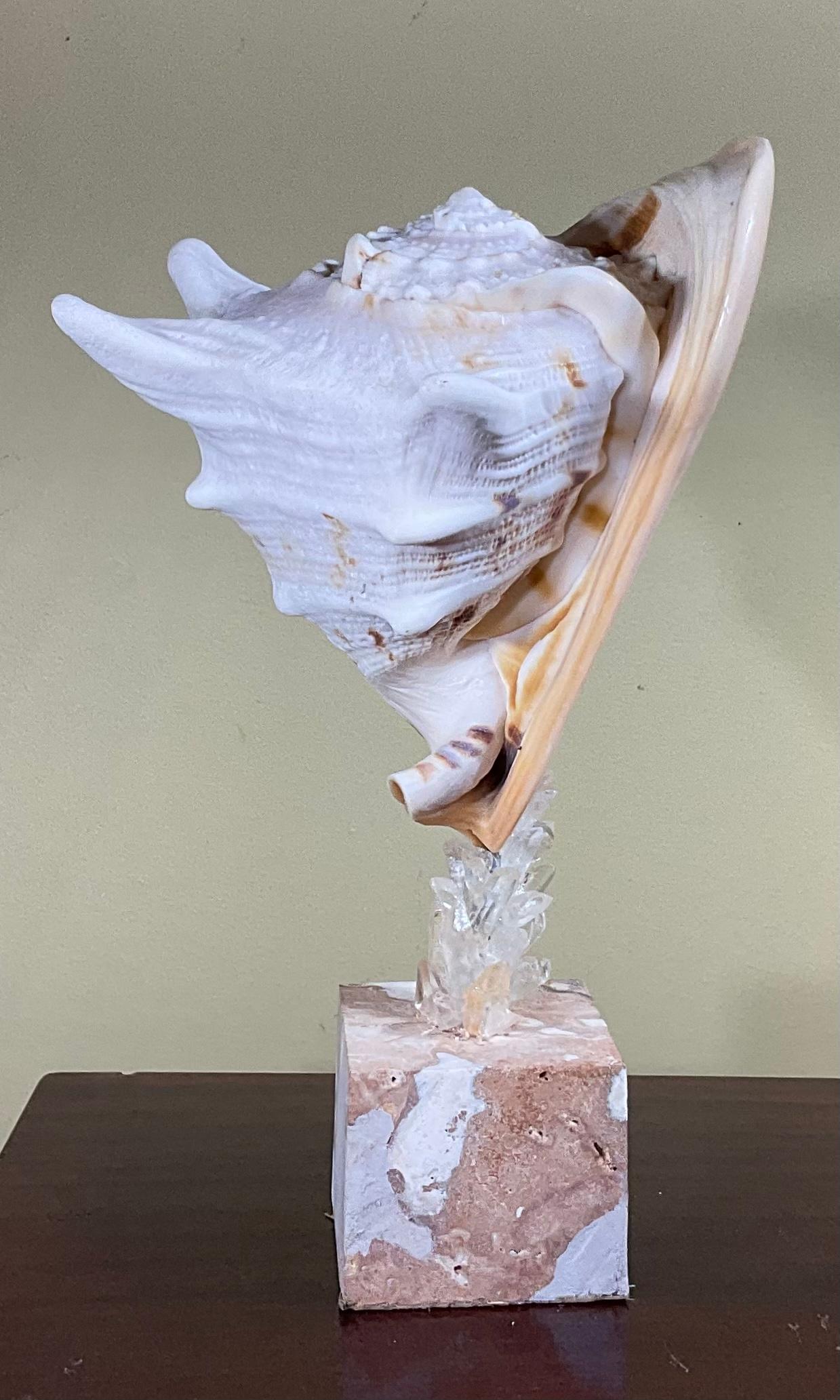 Rock Crystal Sea Shell and Quartz Crystal Sculpture by Joseph Malekan For Sale