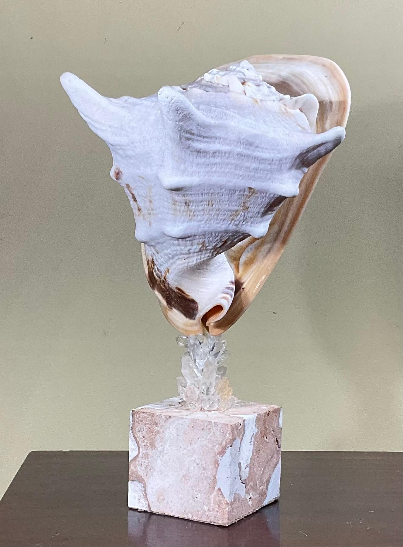 Sea Shell and Quartz Crystal Sculpture by Joseph Malekan For Sale 1