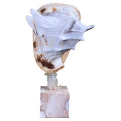 Sea Shell and Quartz Crystal Sculpture by Joseph Malekan