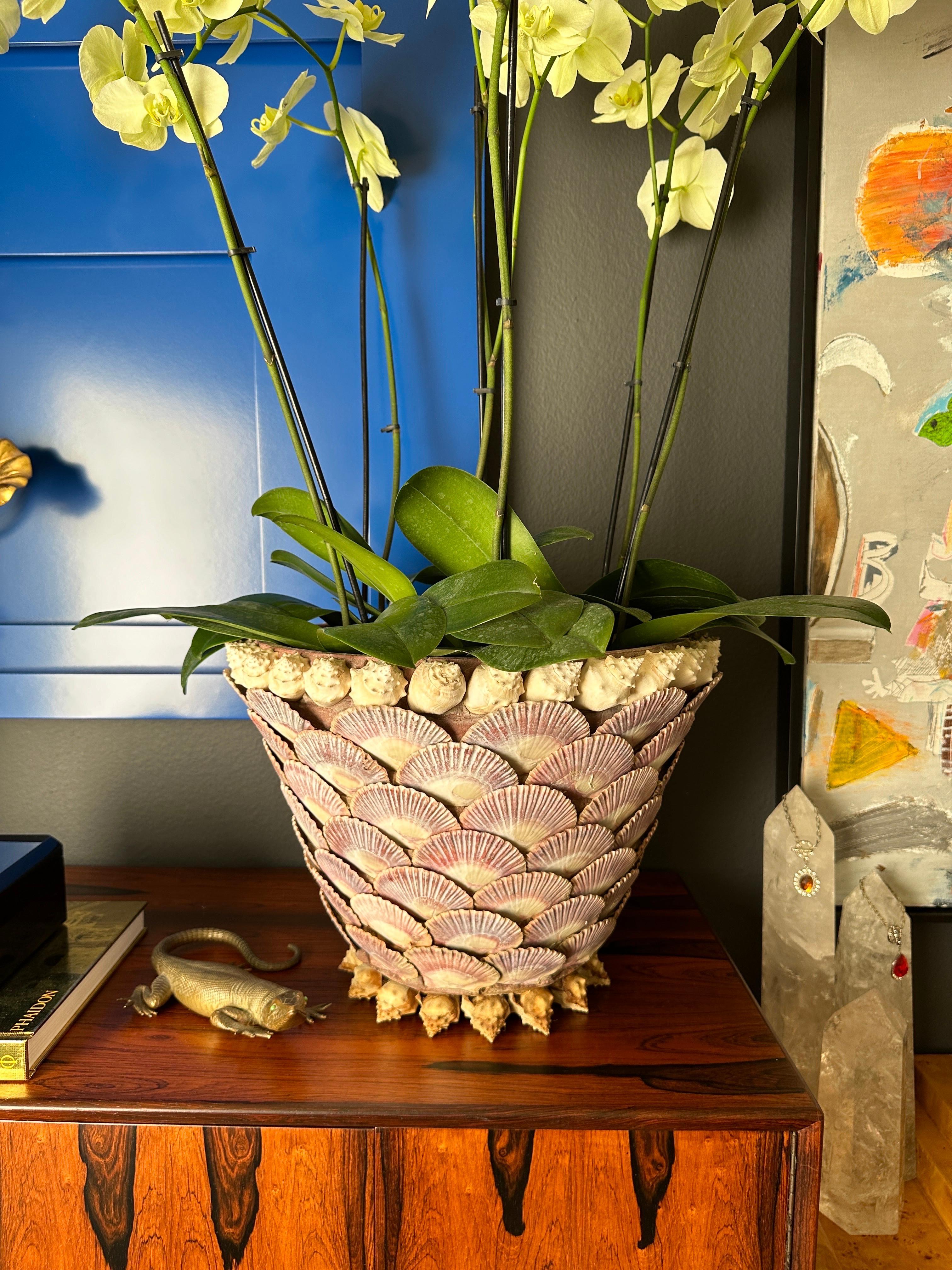 Sea Shell Covered Planter 6