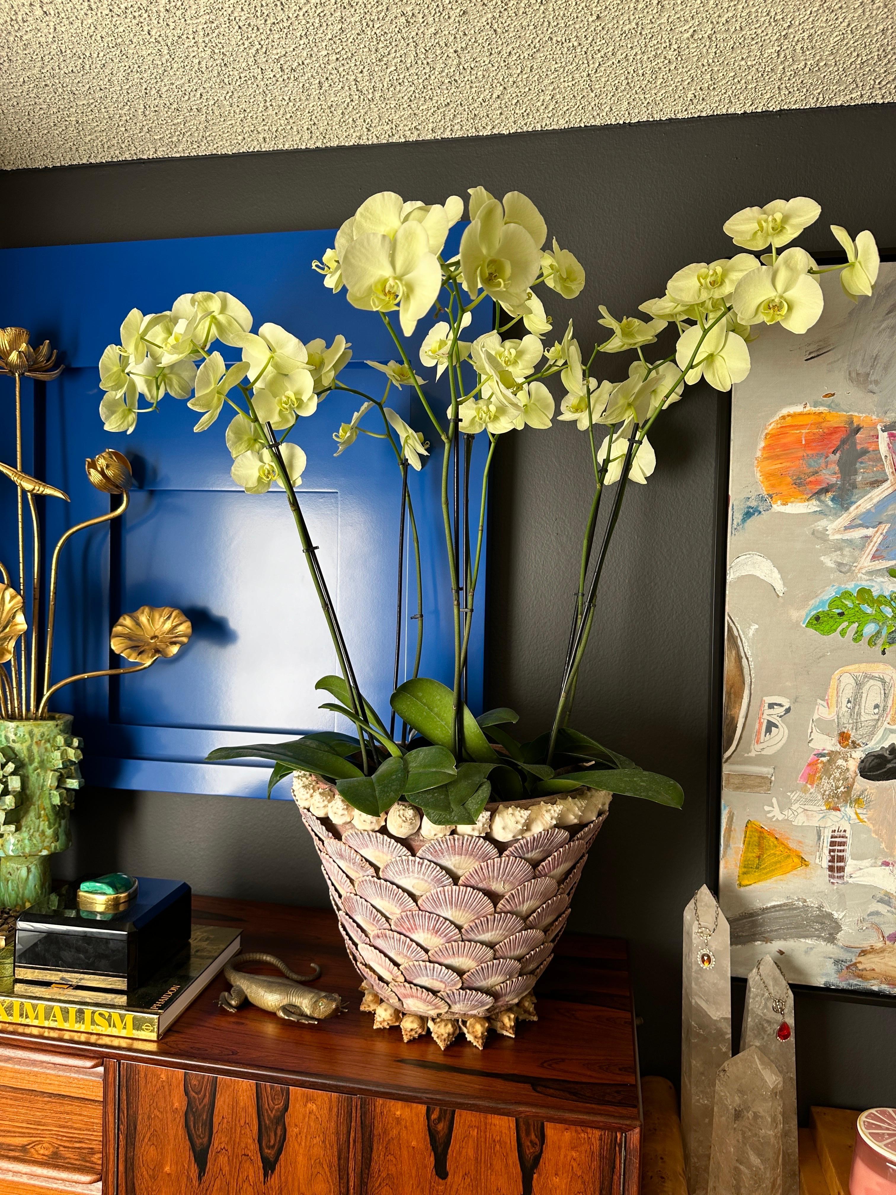 Sea Shell Covered Planter 10