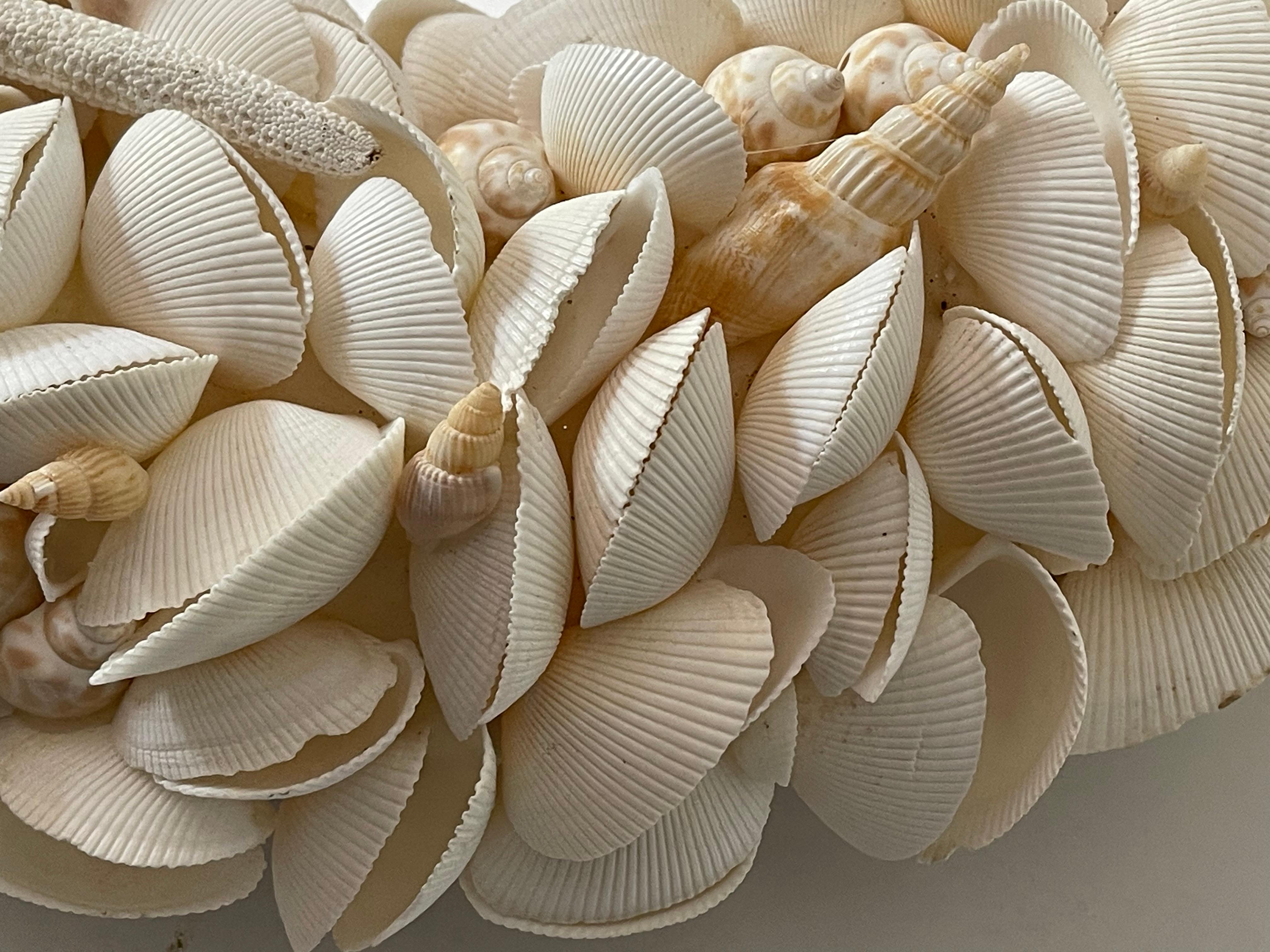 Coquillage Miroir mural rond incrusté de coquillages en vente