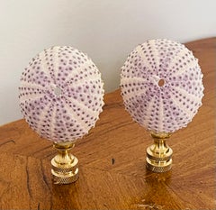 Sea Shell Lamp Finials Pair
