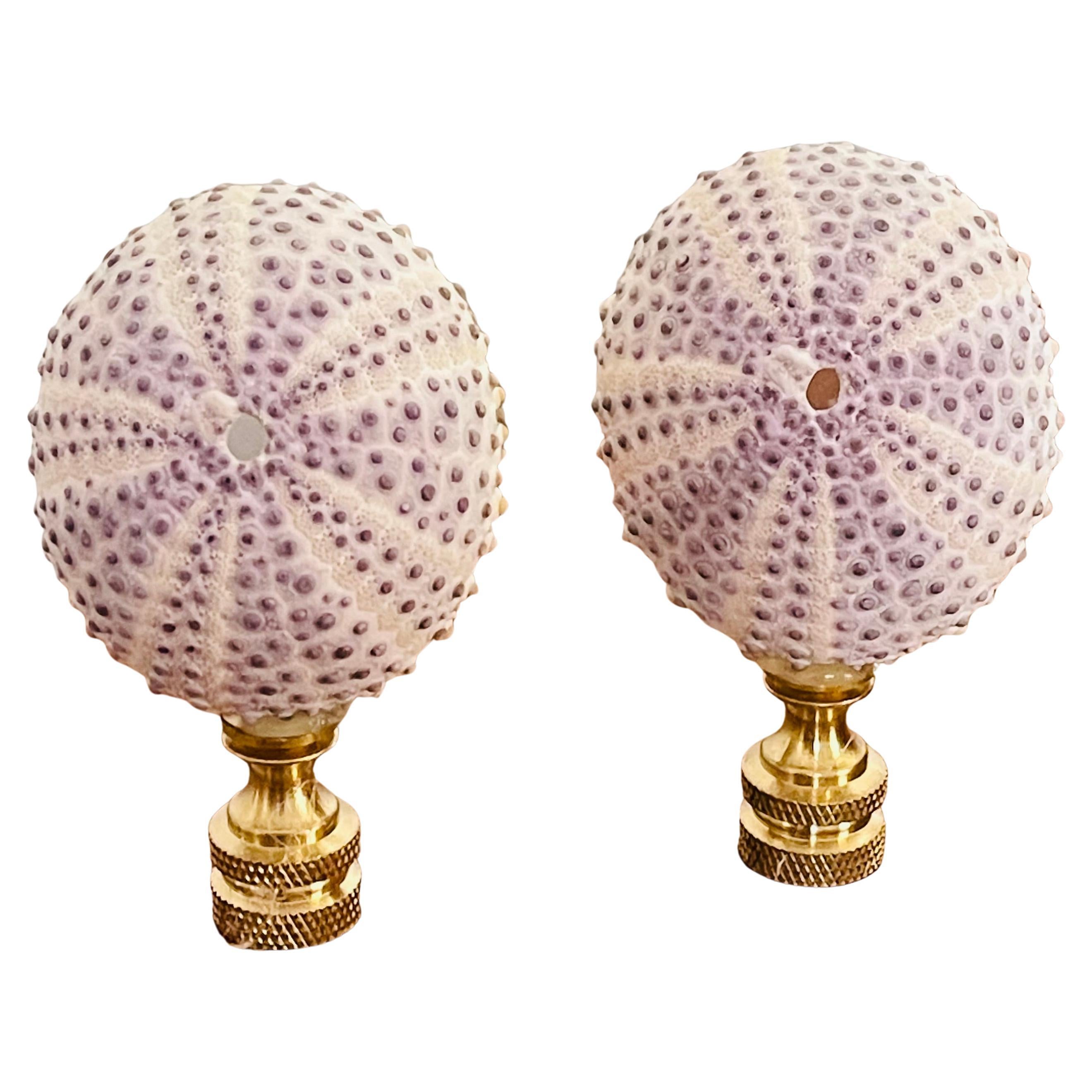 Sea Shell Lamp Finials Pair For Sale