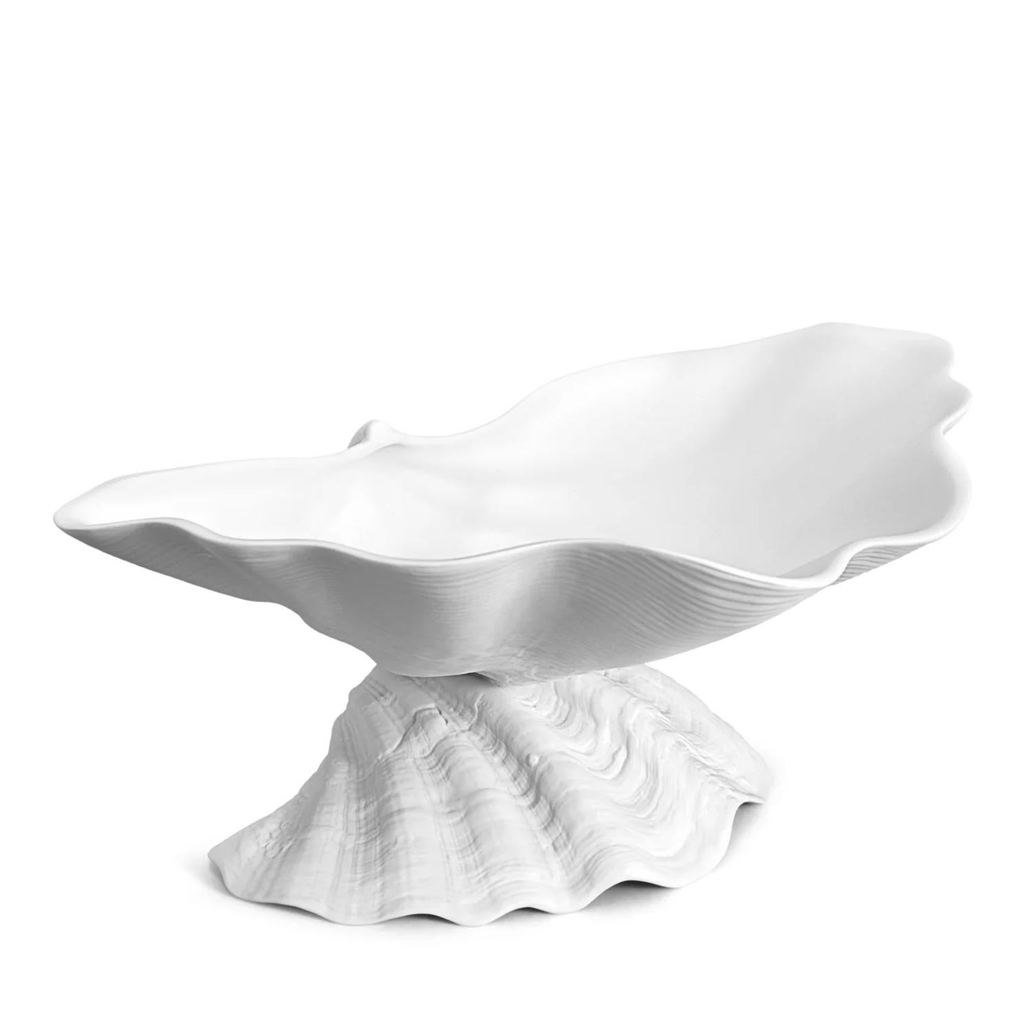 sea shell bowl