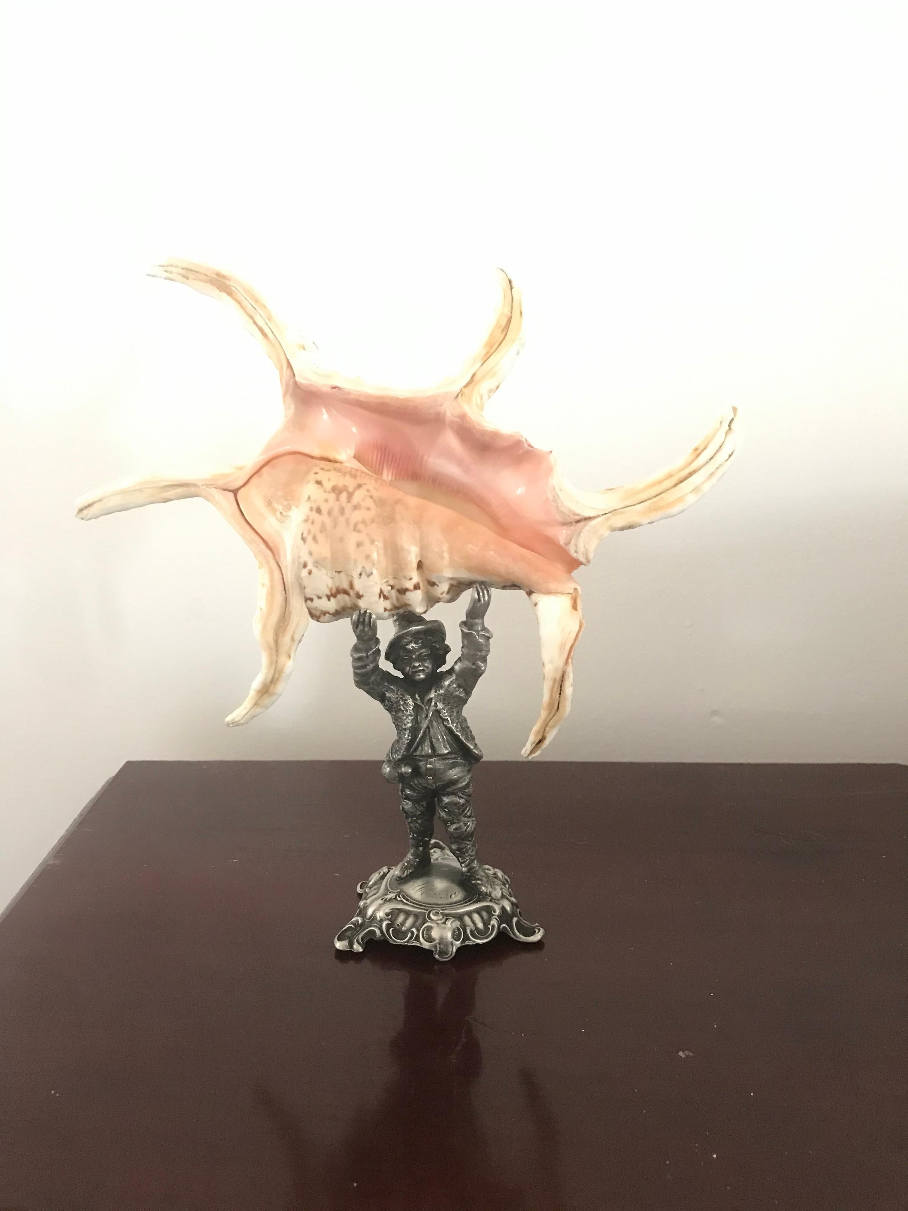 American Sea Shell on Antique Sculpture Stand For Sale