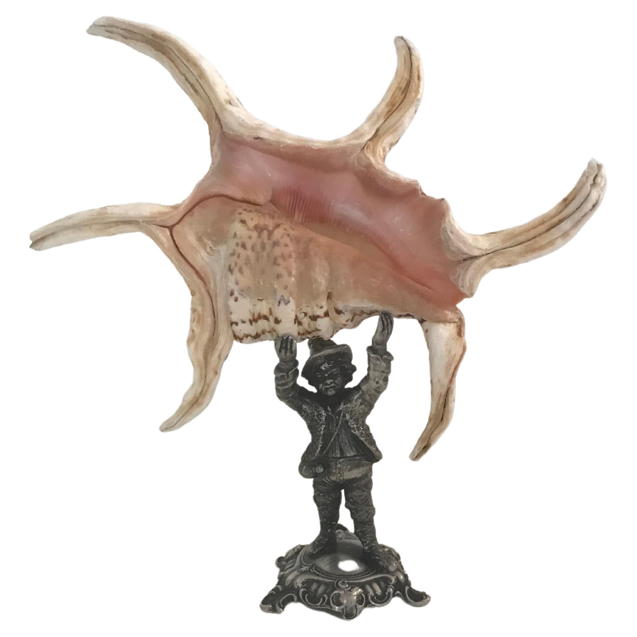 Sea Shell on Antique Sculpture Stand For Sale