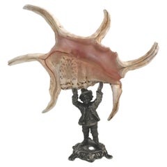Sea Shell on Antique Sculpture Stand
