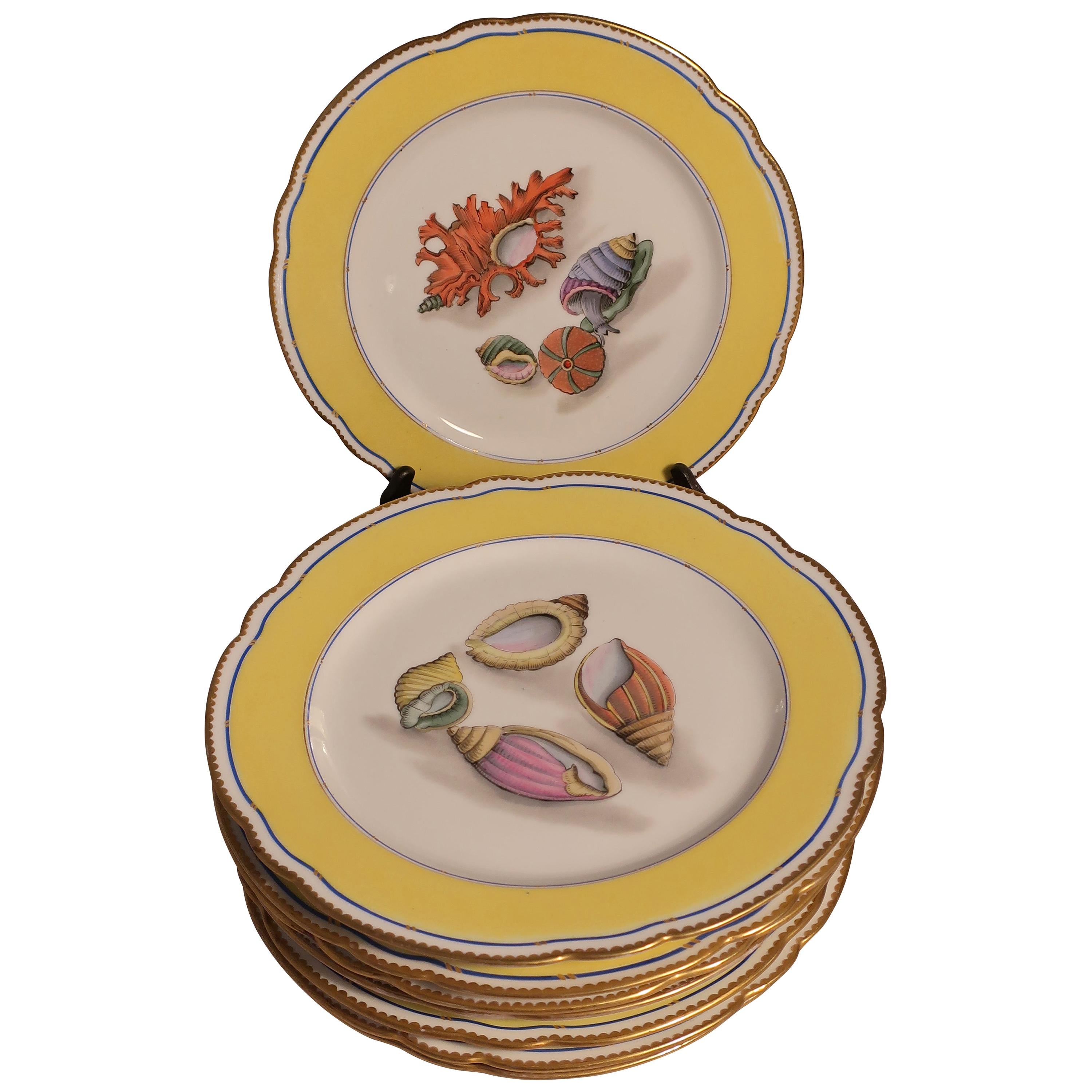Sea Shell Porcelain Plates French Rousseau, Set of 6 or 12