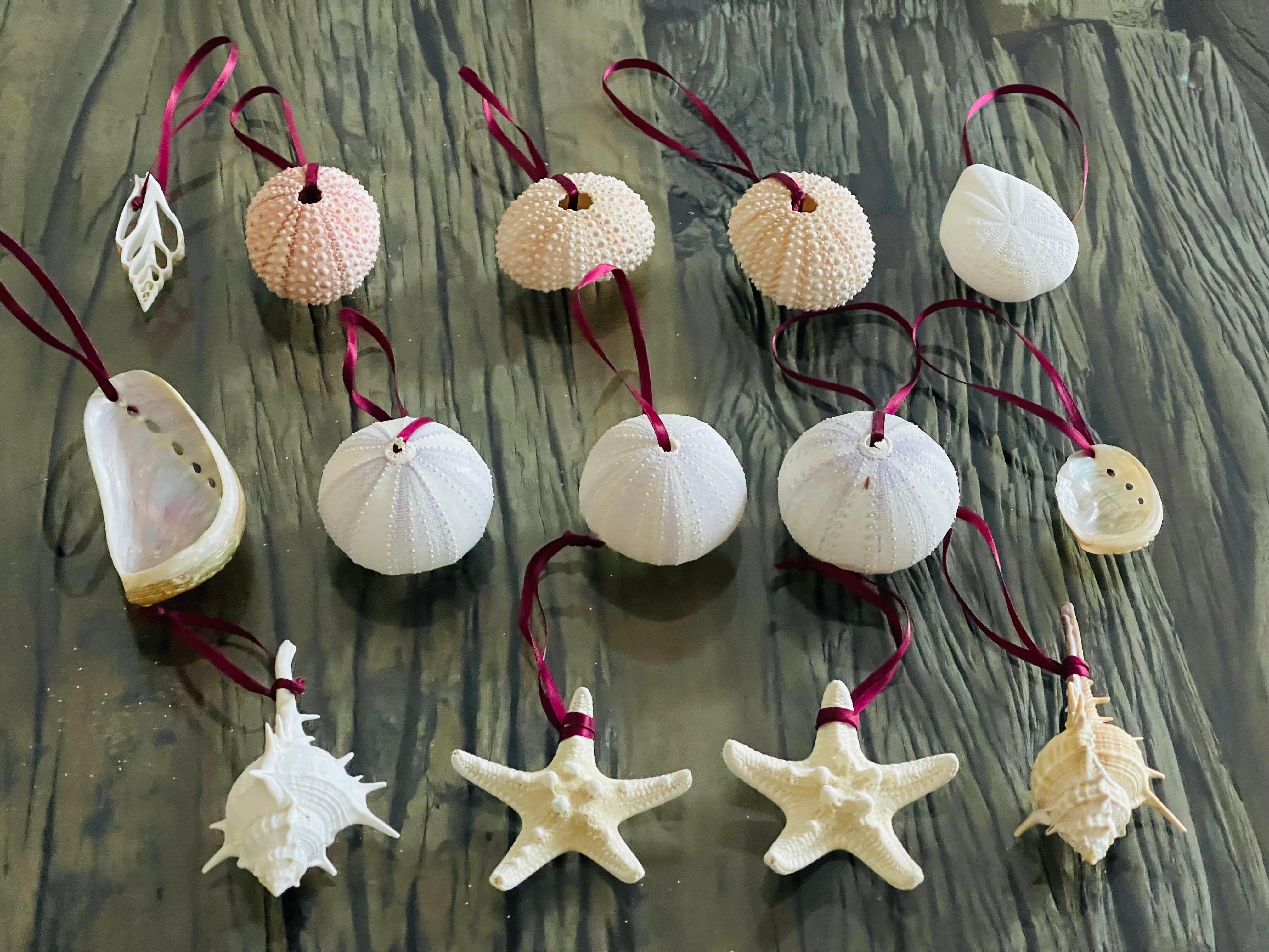 Rustic Sea Shell Sea Shells Coastal Ornaments Set For Sale