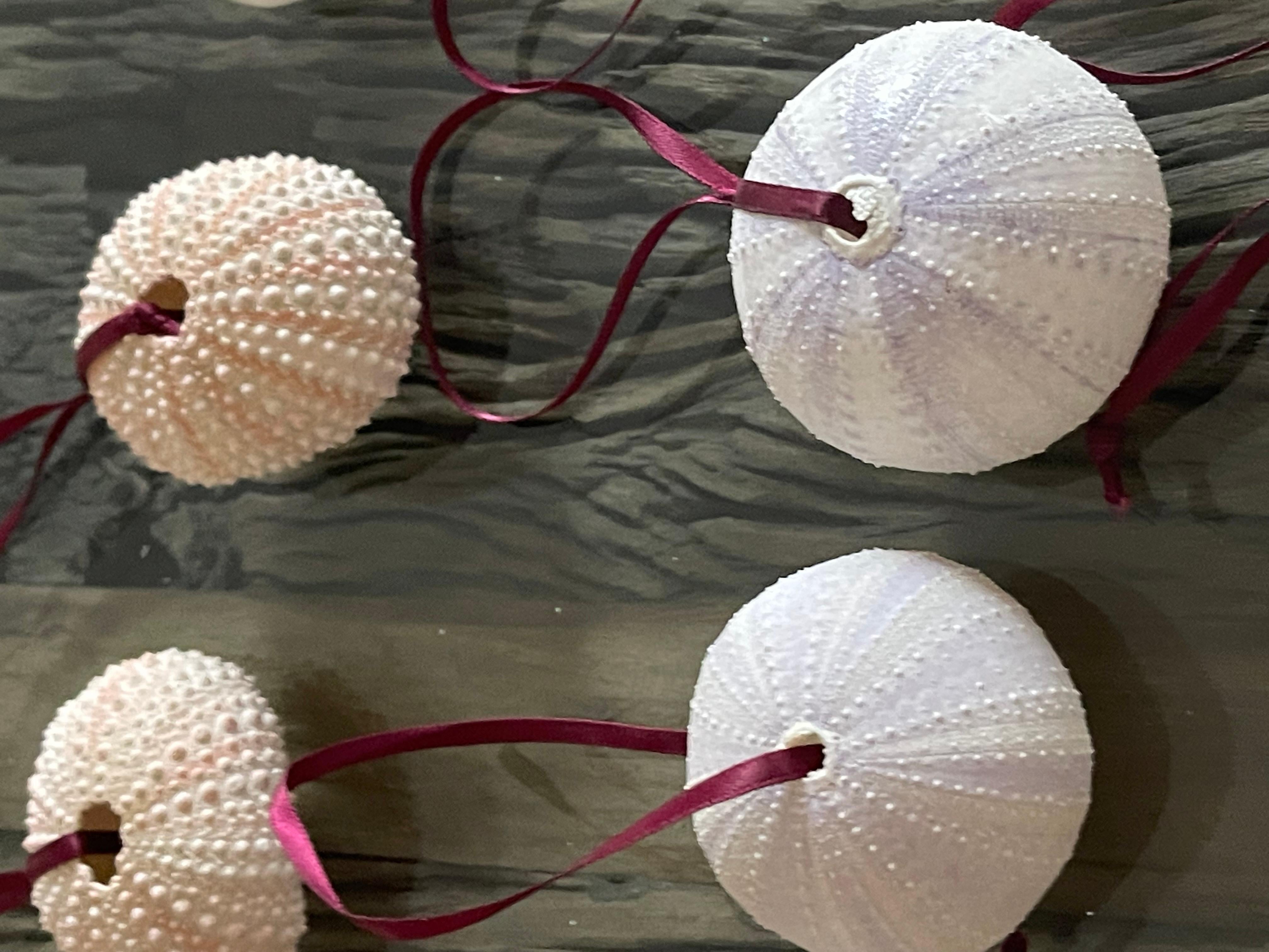 American Sea Shell Sea Shells Coastal Ornaments Set For Sale